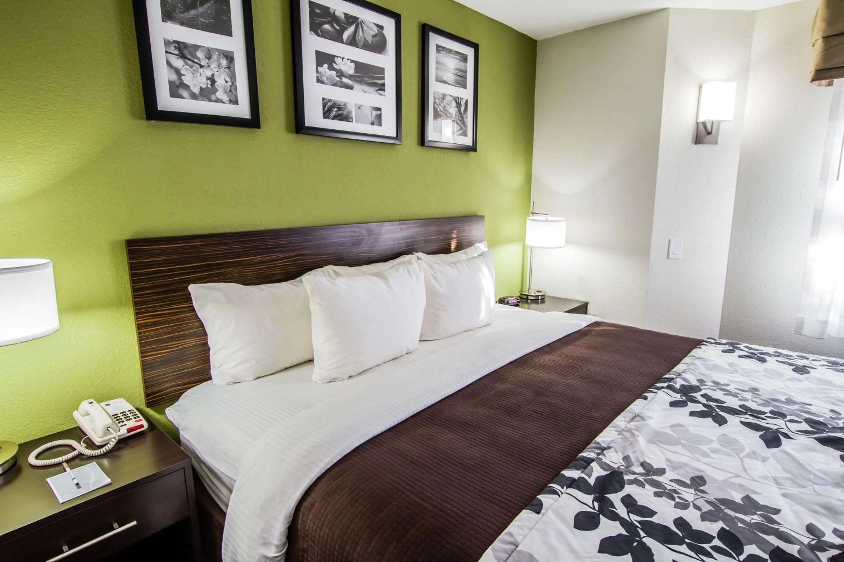 King Room - Non-Smoking in Sleep Inn Gallup