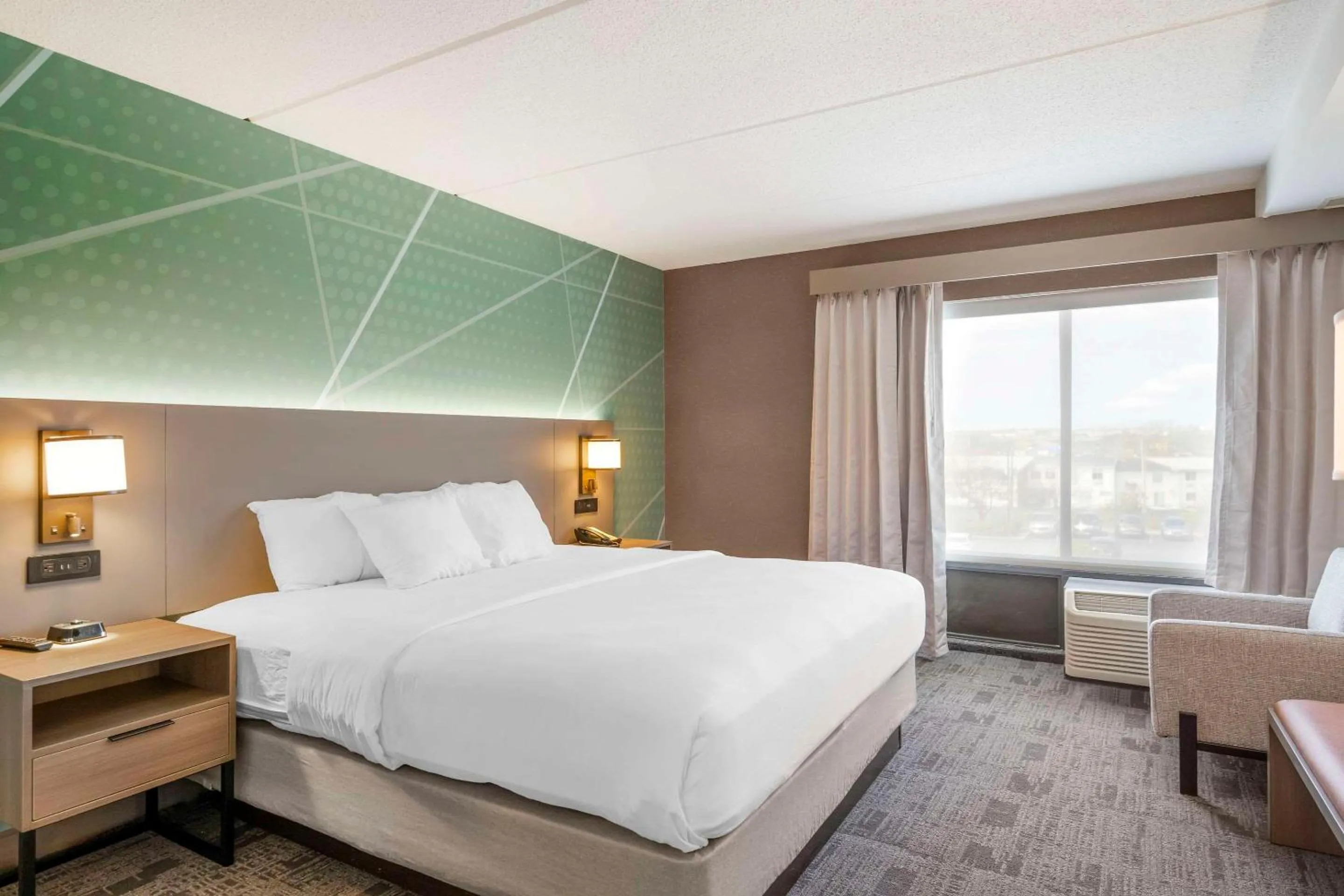 King Room - Non-Smoking in Comfort Inn & Suites Watertown - 1000 Islands