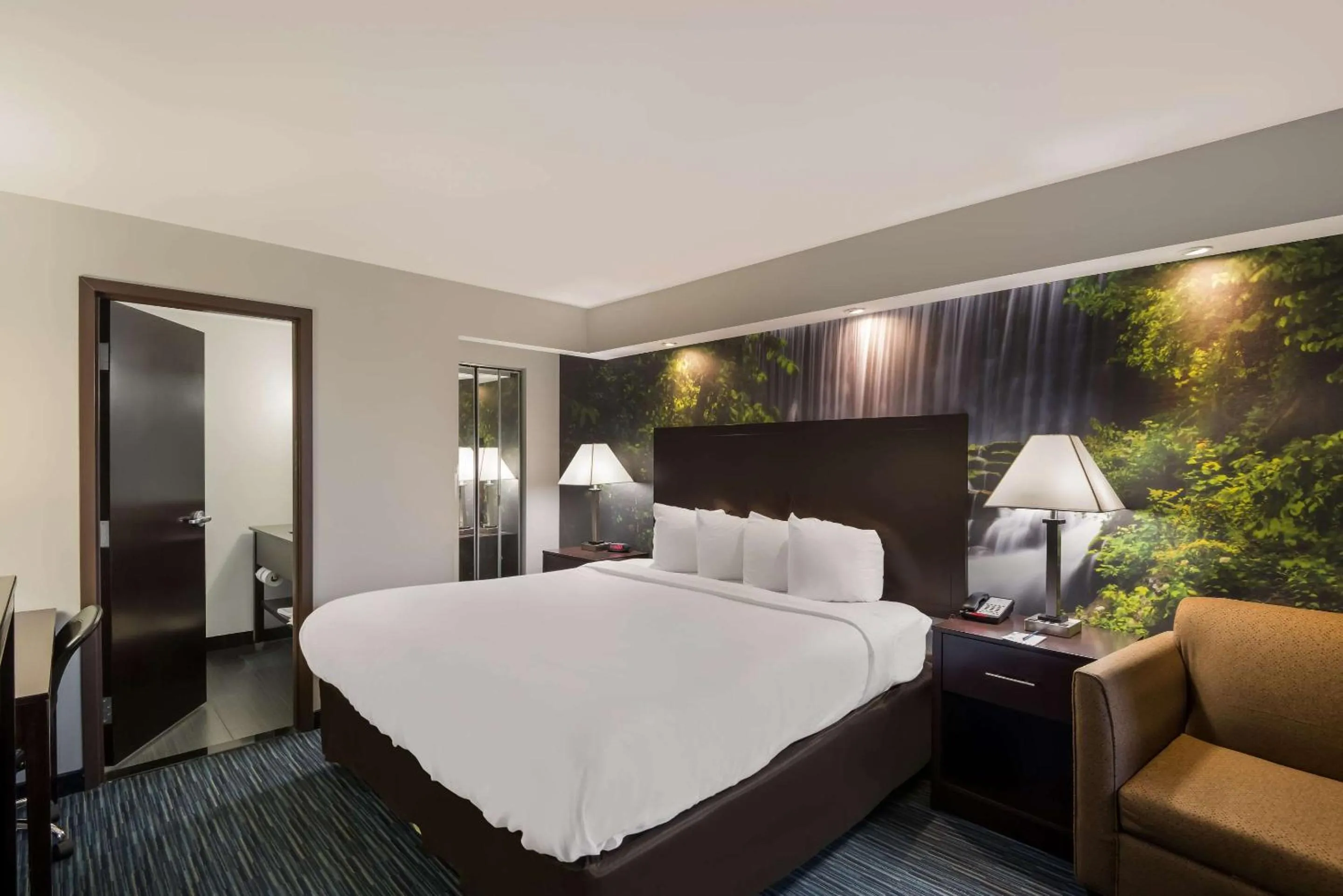 King Room - Non-Smoking in Clarion Pointe Downtown