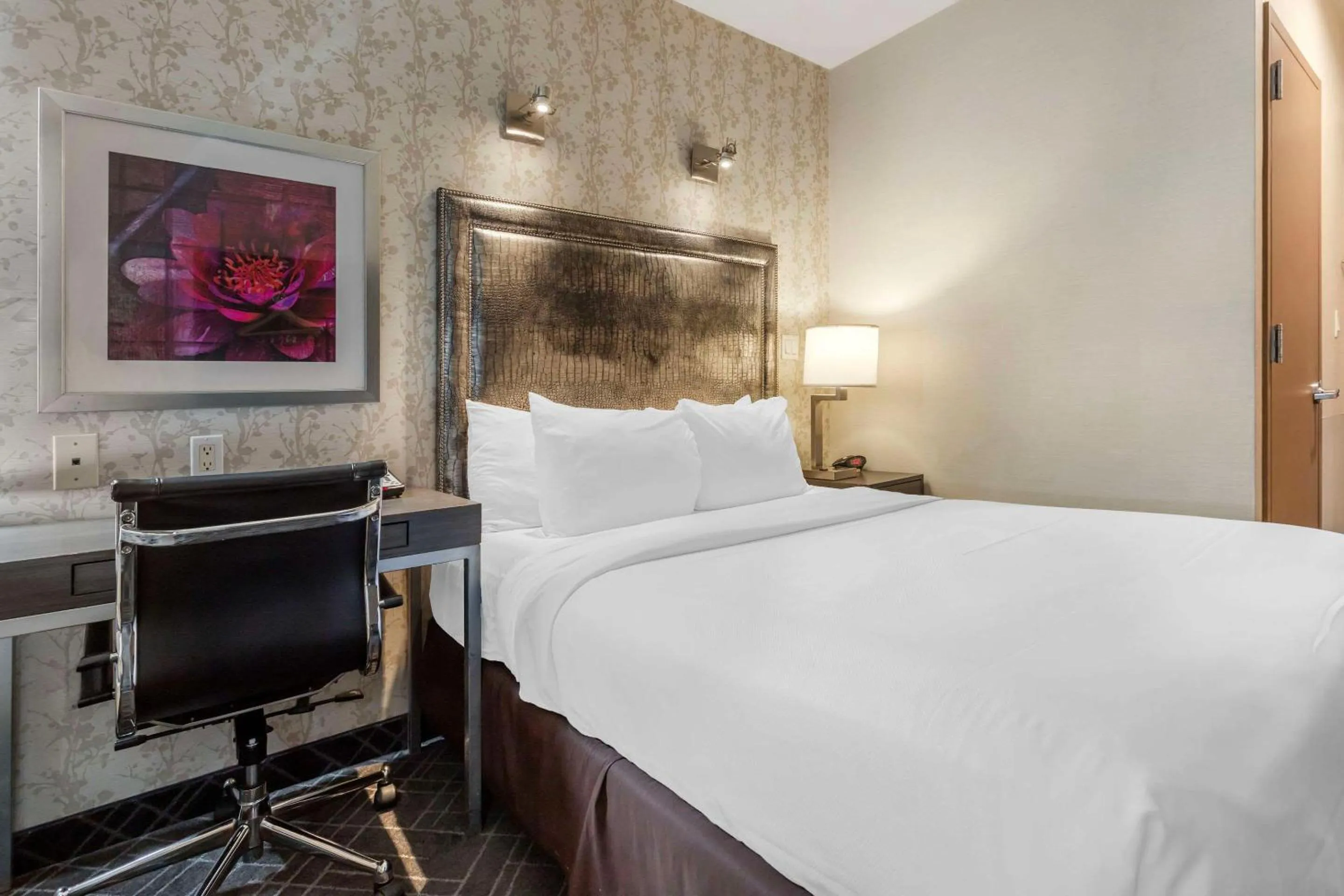 Queen Room - Disability Access/Non-Smoking in Comfort Inn Manhattan - Midtown West