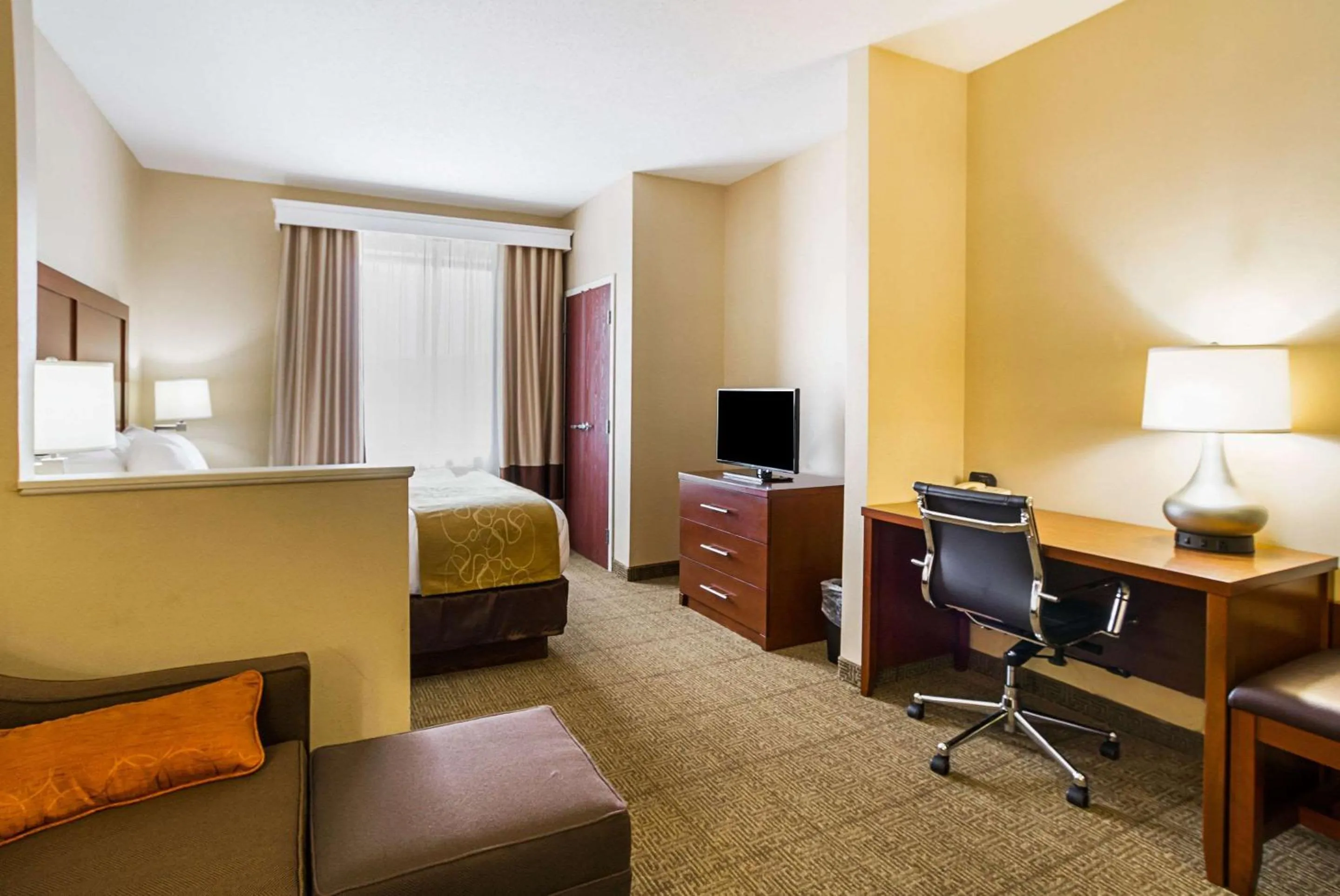 One Room Suite with Roll-In Shower - Non Smoking in Comfort Suites