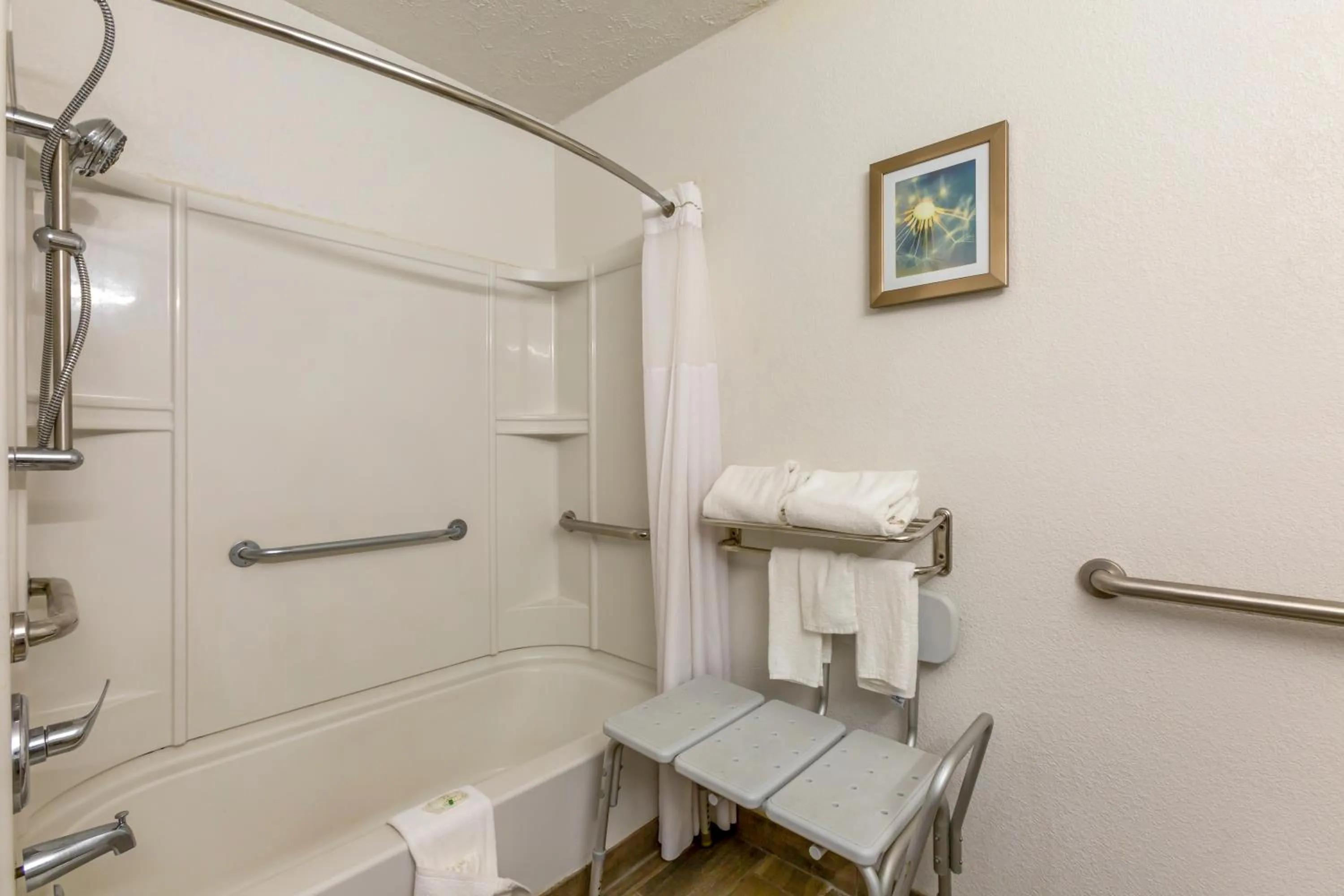 King Room with Roll-In Shower - Accessible/Non Smoking in Quality Inn Alexis Rd