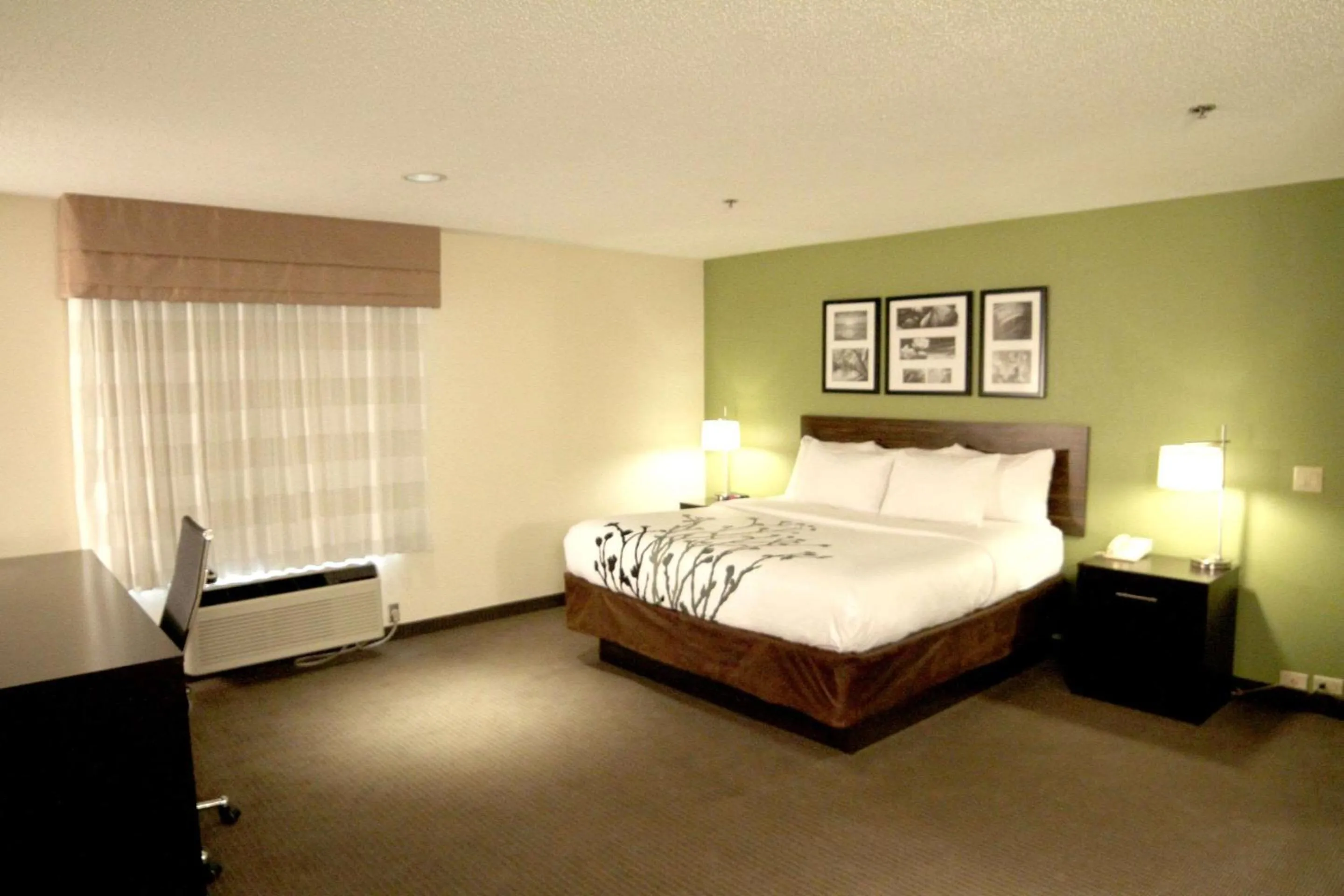 King Room - Non-Smoking in Sleep Inn Sandusky