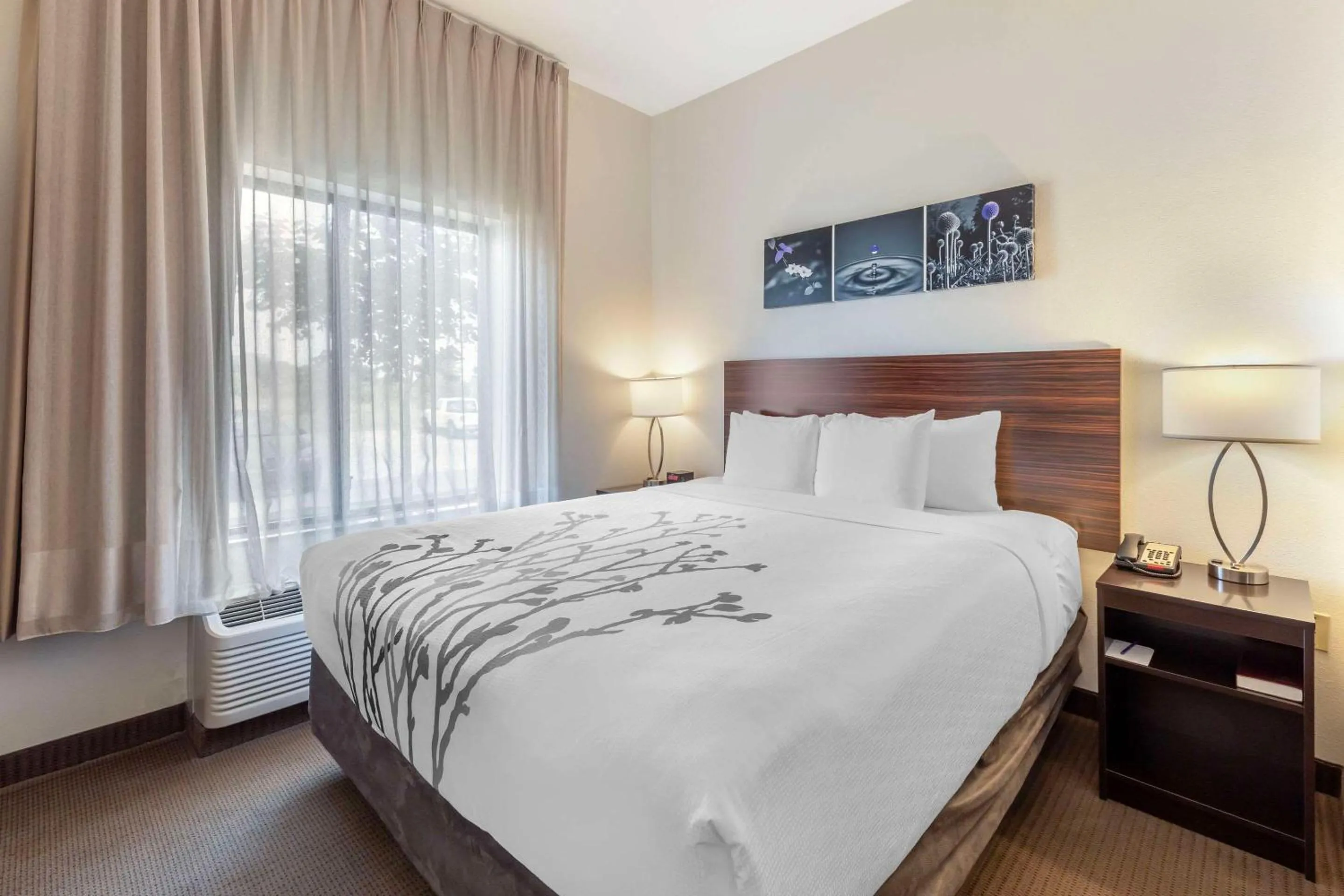 King Suite - Non-Smoking in Sleep Inn & Suites Norman near University