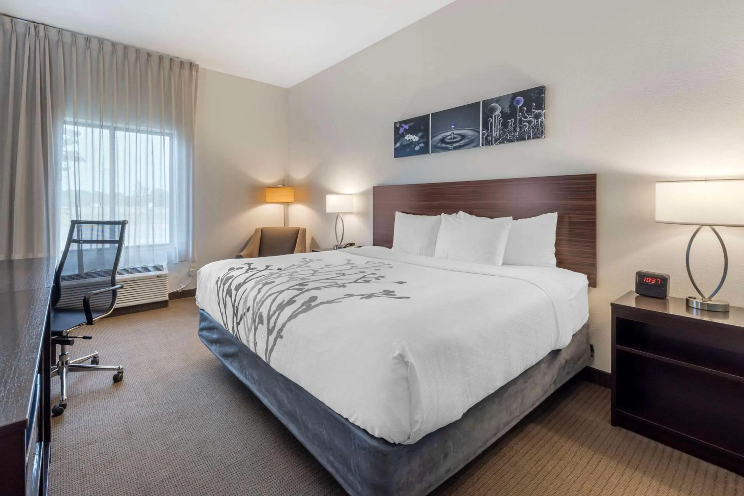 King Room - Non-Smoking in Sleep Inn & Suites Norman near University