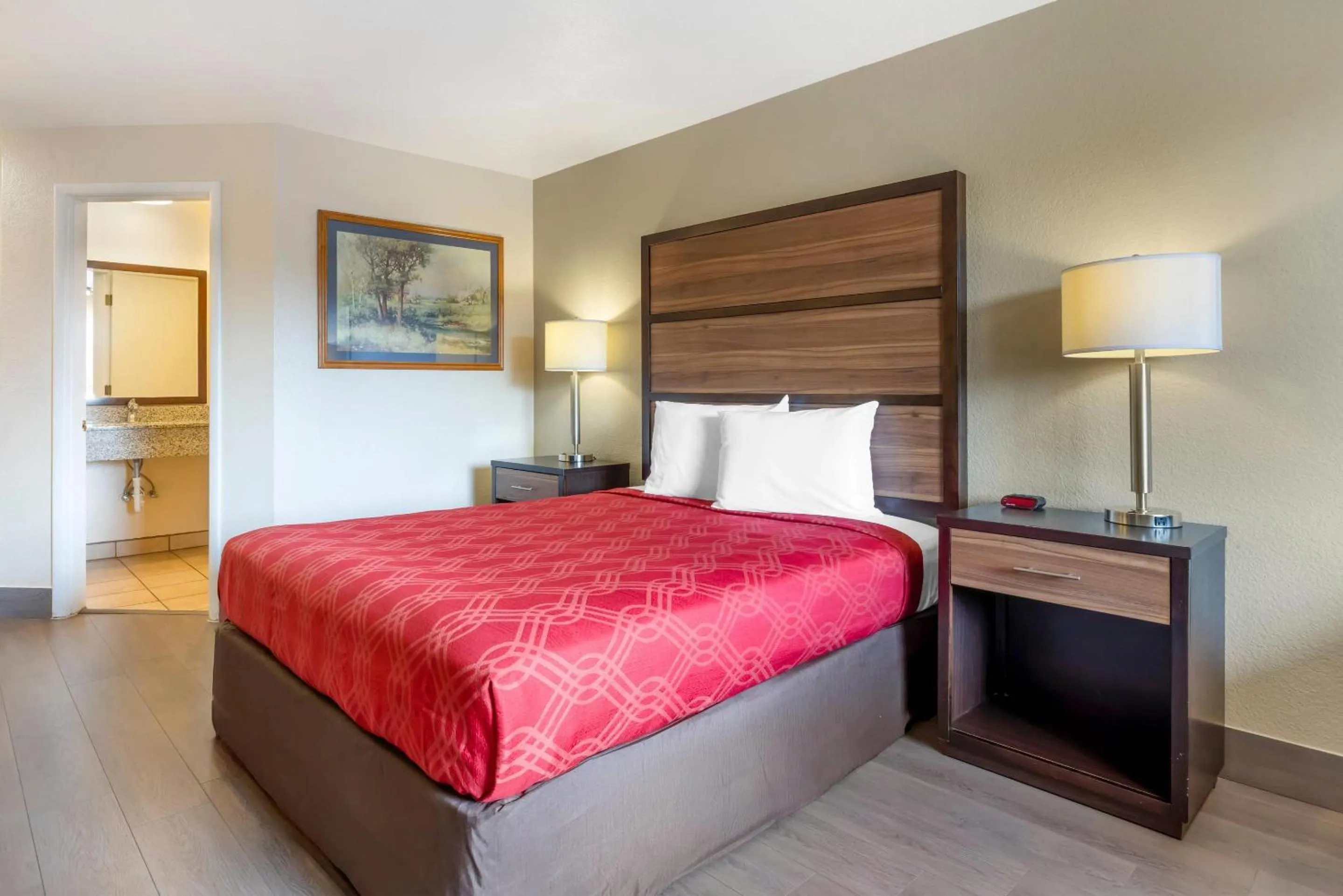 Queen Room - Non-Smoking in Rodeway Inn Albany