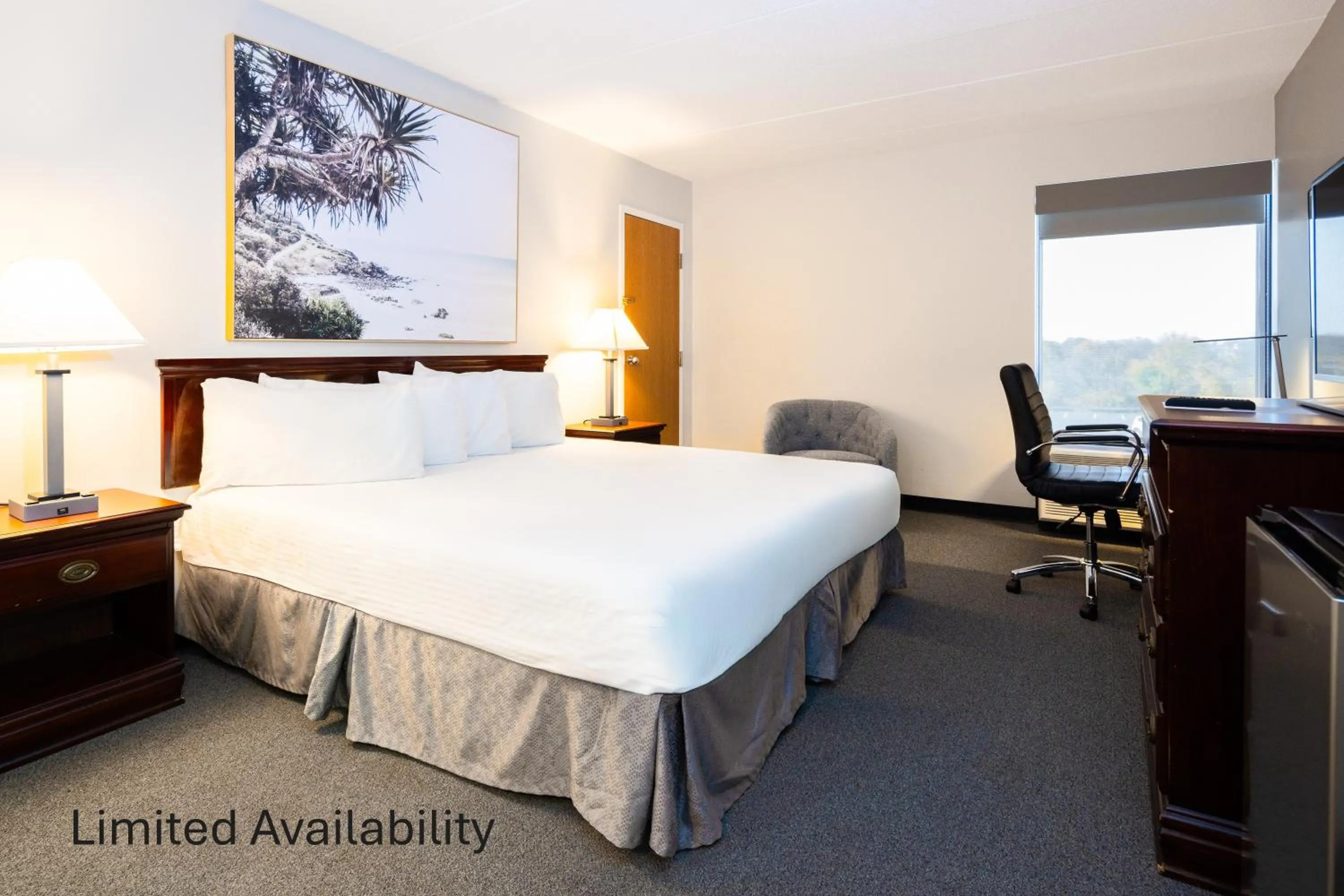 King Room - Non-Smoking in The View Inn & Suites Bethlehem / Allentown / Lehigh Airport