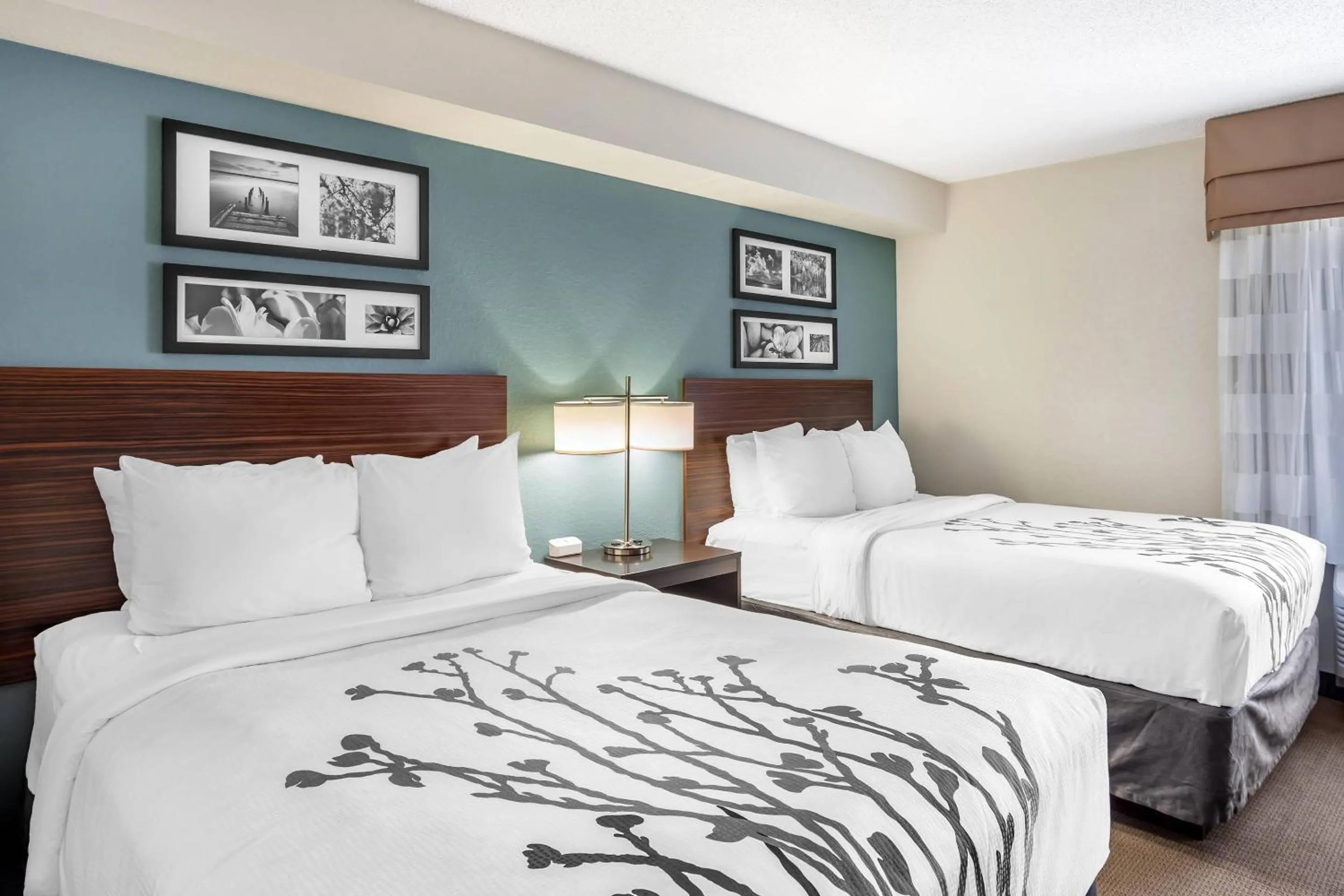 Double Room with Two Double Beds - Non-Smoking in Sleep Inn State College near Penn State - Less than 1 Mile to PSU!