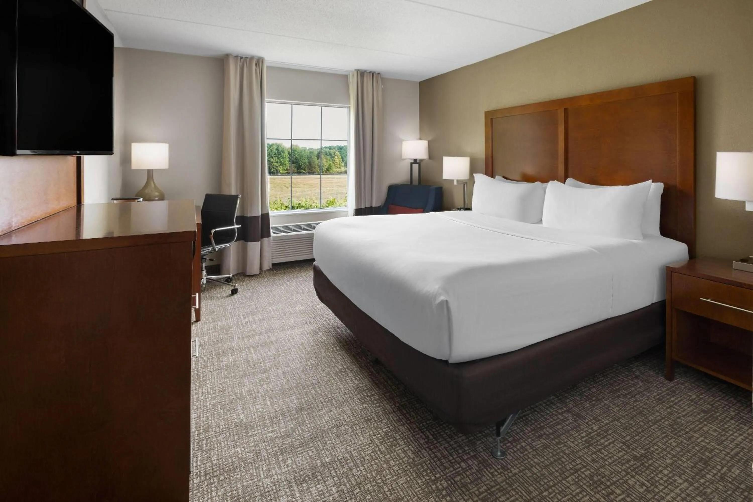 1 King Bed, Mobility Accessible Room, Bathtub w/ Grab Bars, Non-Smoking in Wingate by Wyndham Grove City