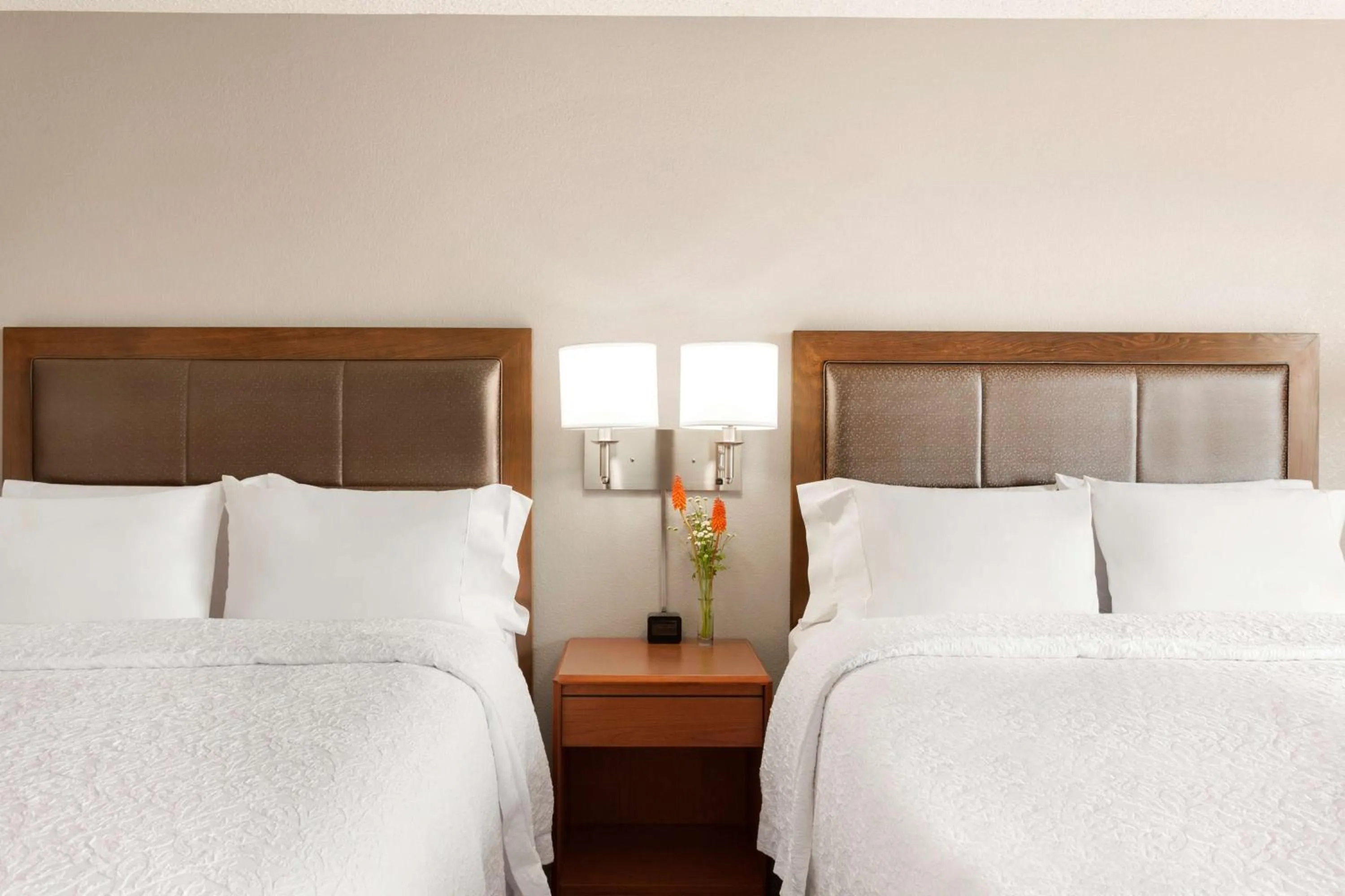 Queen Room with Two Queen Beds and Mountain View - single occupancy in Hampton Inn & Suites Denver-Cherry Creek