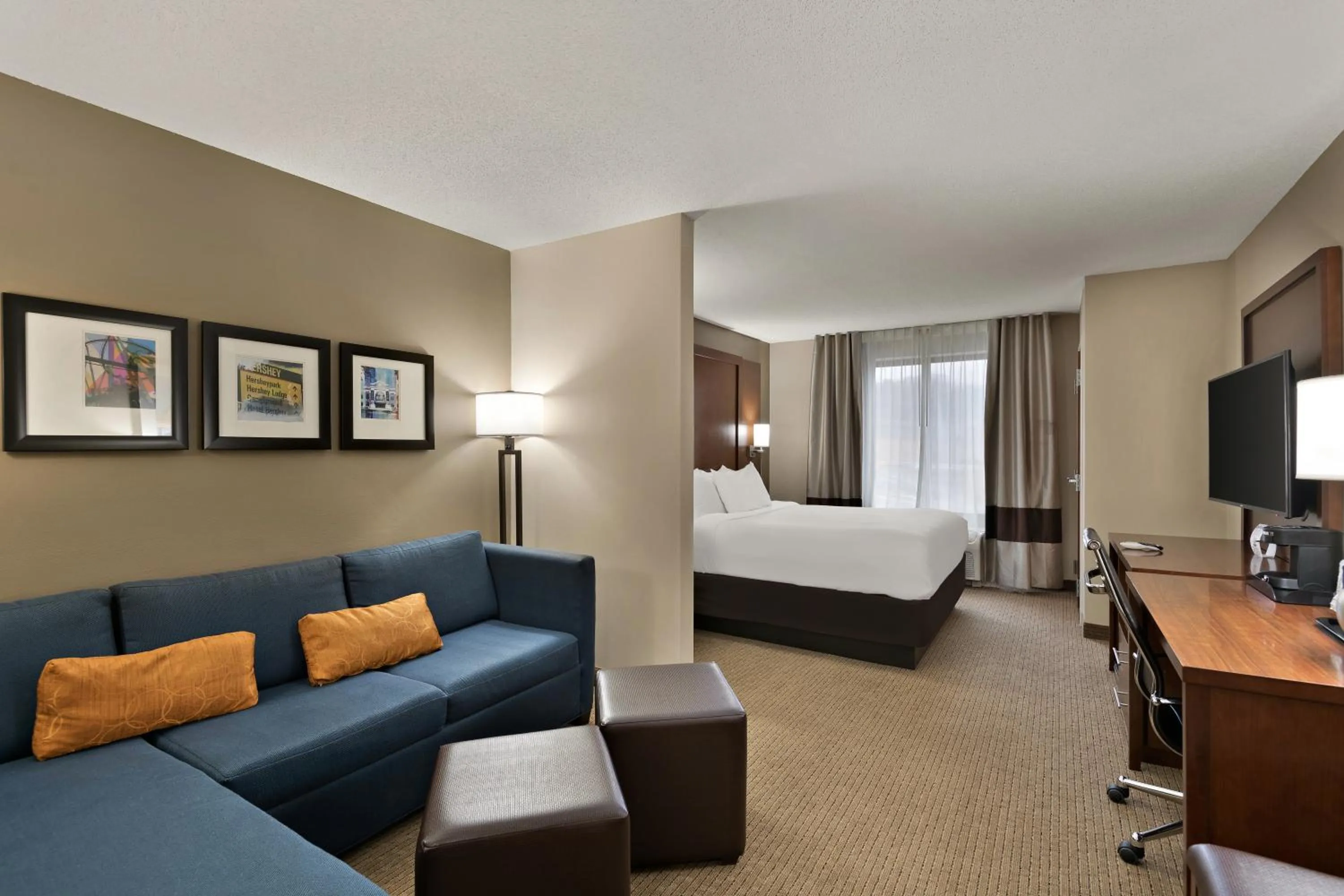 Efficiency One Room Suite with Roll-In Shower - Disability Access/Non Smoking in Comfort Suites Hummelstown - Hershey