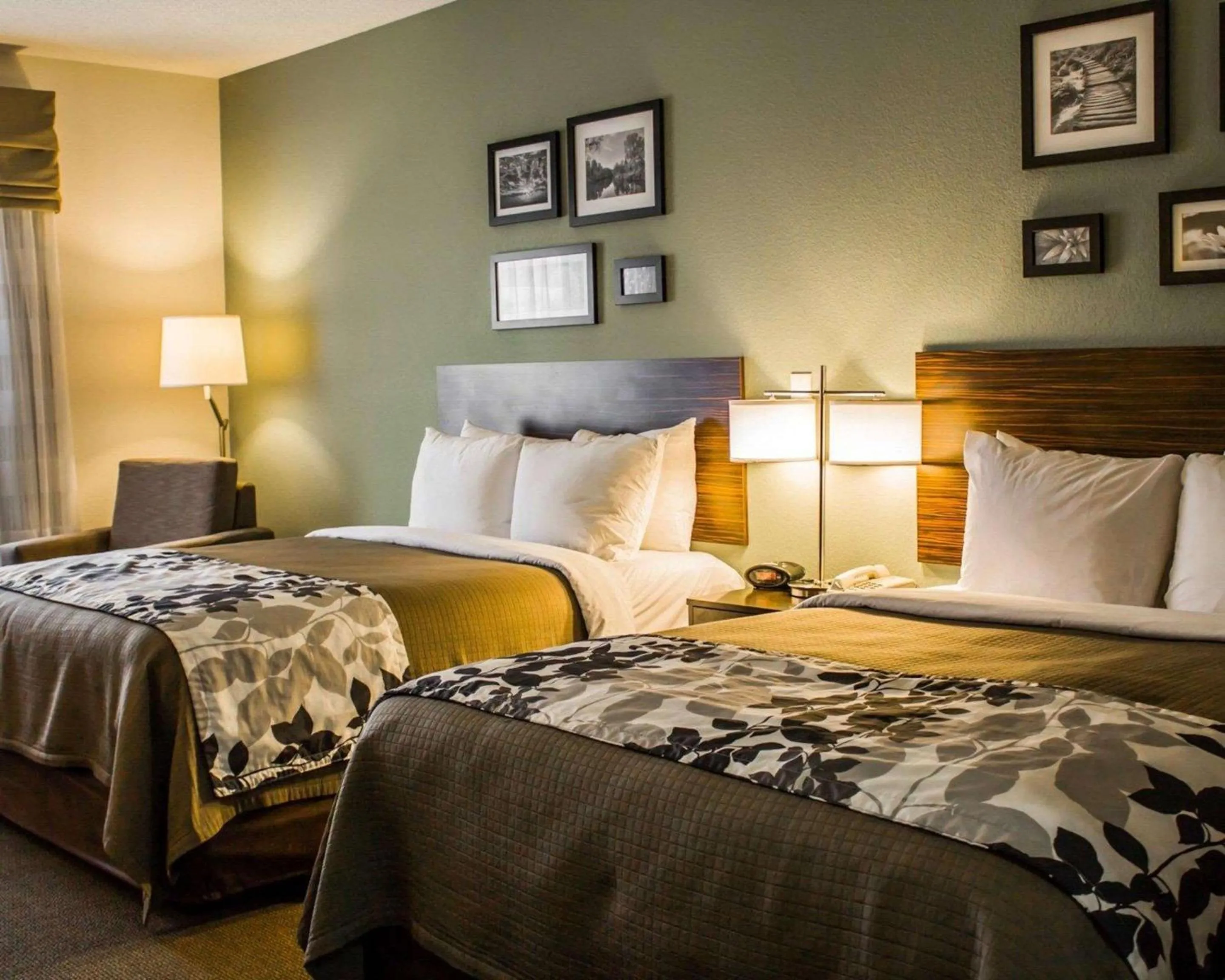 Queen Room with Two Queen Beds - Disability Access - Non-Smoking in Sleep Inn & Suites Harrisburg - Hershey Southwest