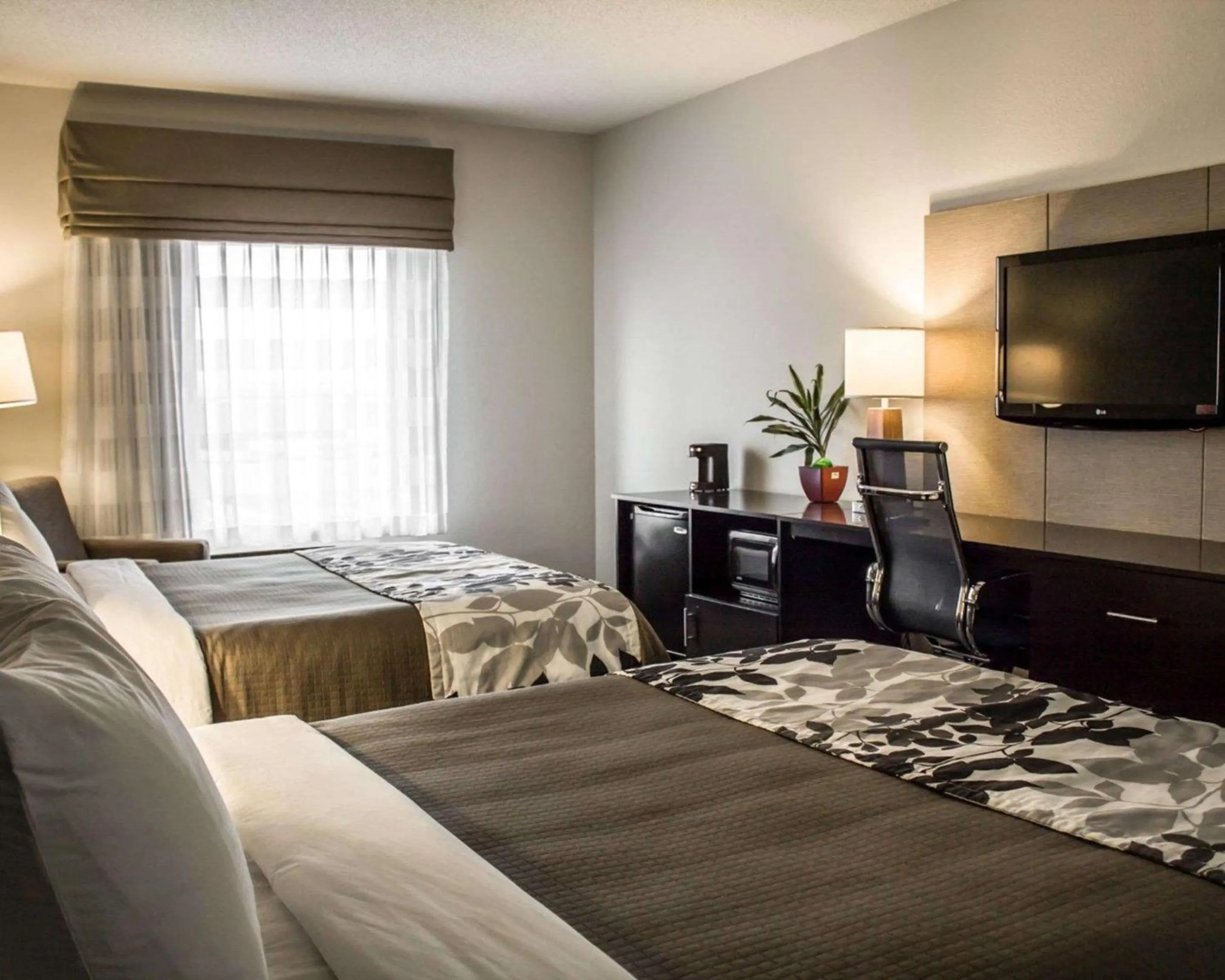 Queen Room with Two Queen Beds - Non-Smoking in Sleep Inn & Suites Harrisburg - Hershey Southwest