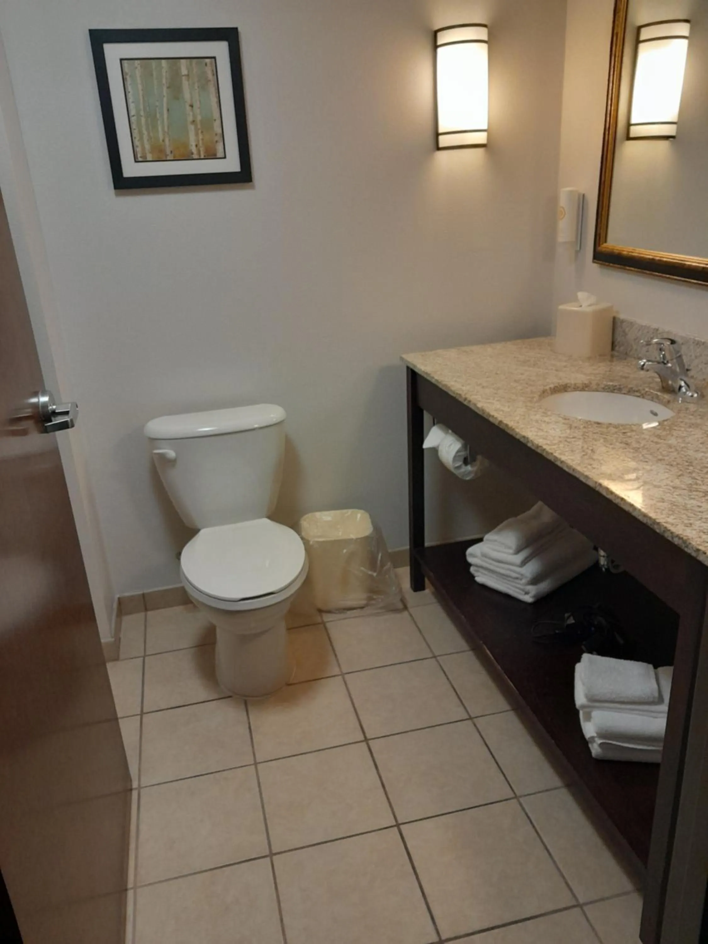 King Suite - Non-Smoking in Comfort Suites Altoona North