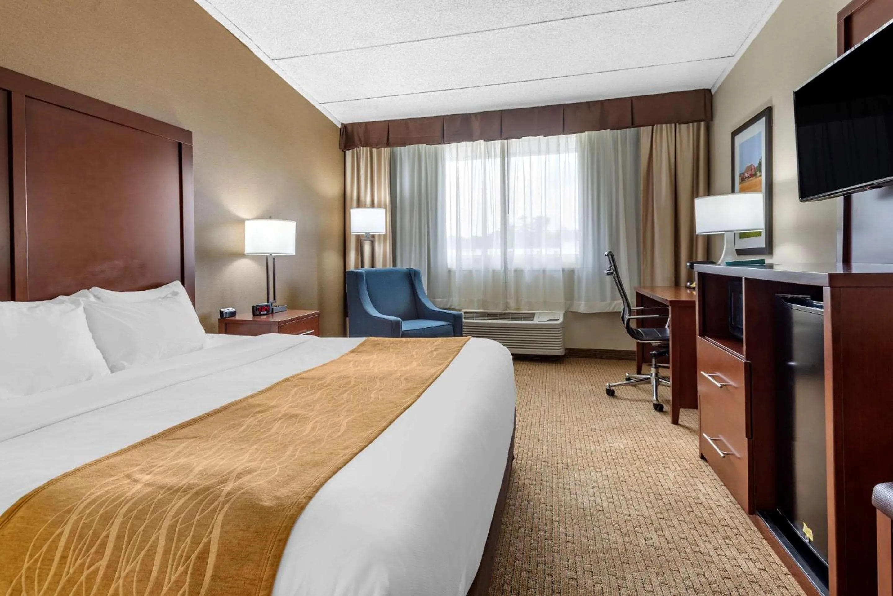 King Room with Roll-In Shower - Accessible/Non-Smoking in Comfort Inn Lancaster County North