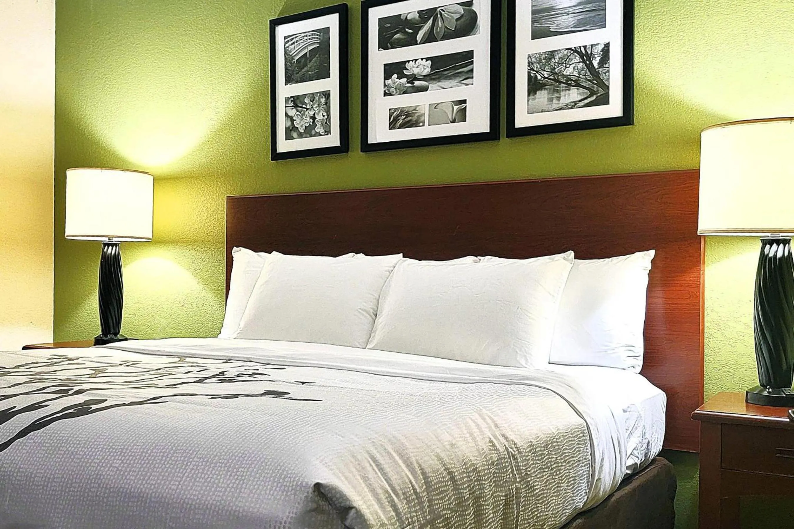 King Room - Non-Smoking in Sleep Inn Near Ft Jackson