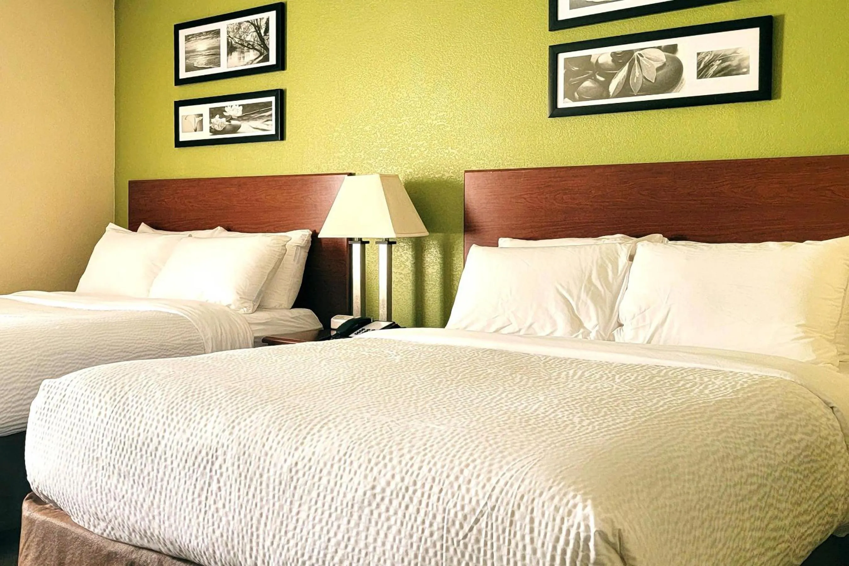 Queen Room with Two Queen Beds - Non-Smoking in Sleep Inn Near Ft Jackson
