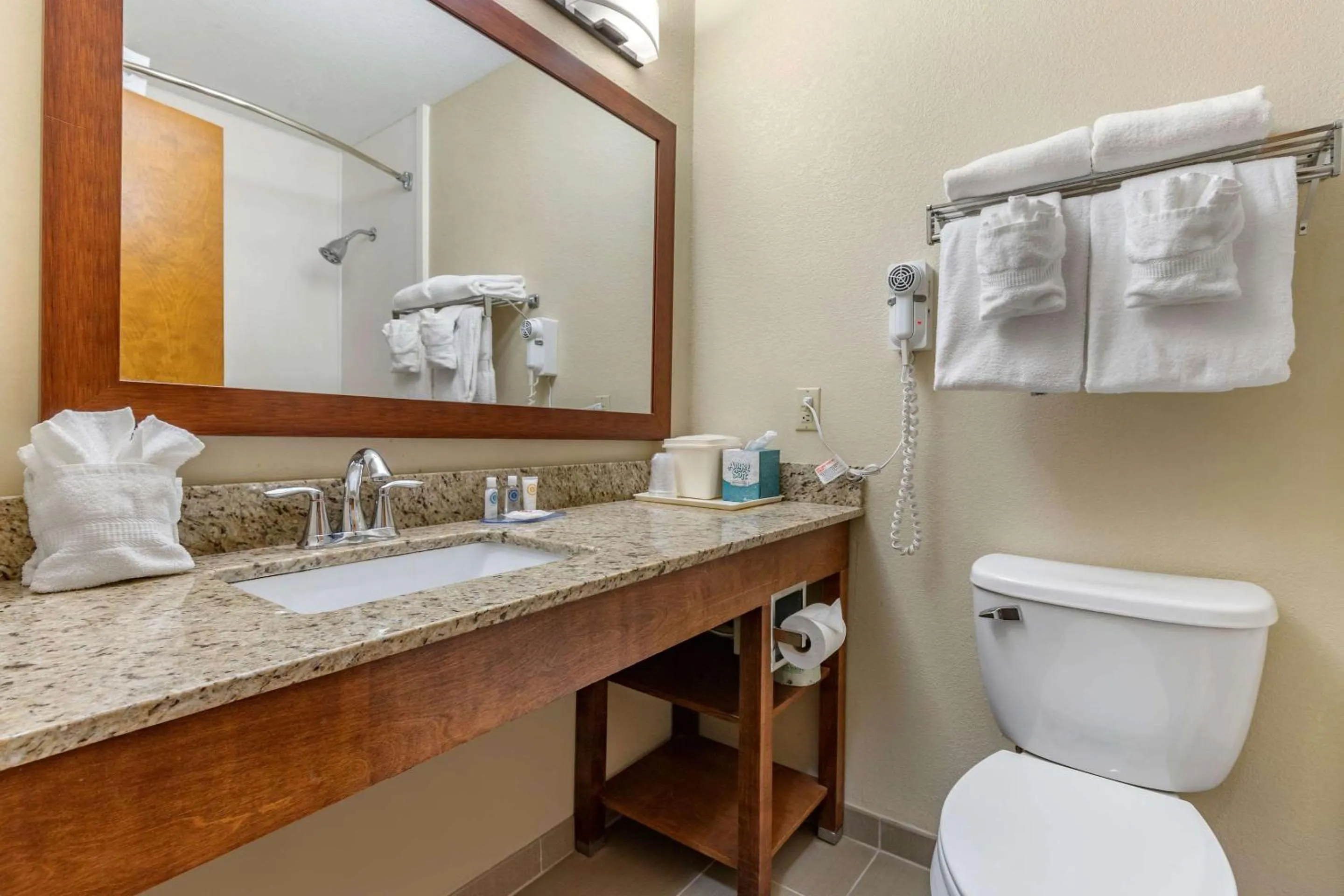 King Room - Non-Smoking in Comfort Inn & Suites Clemson - University Area