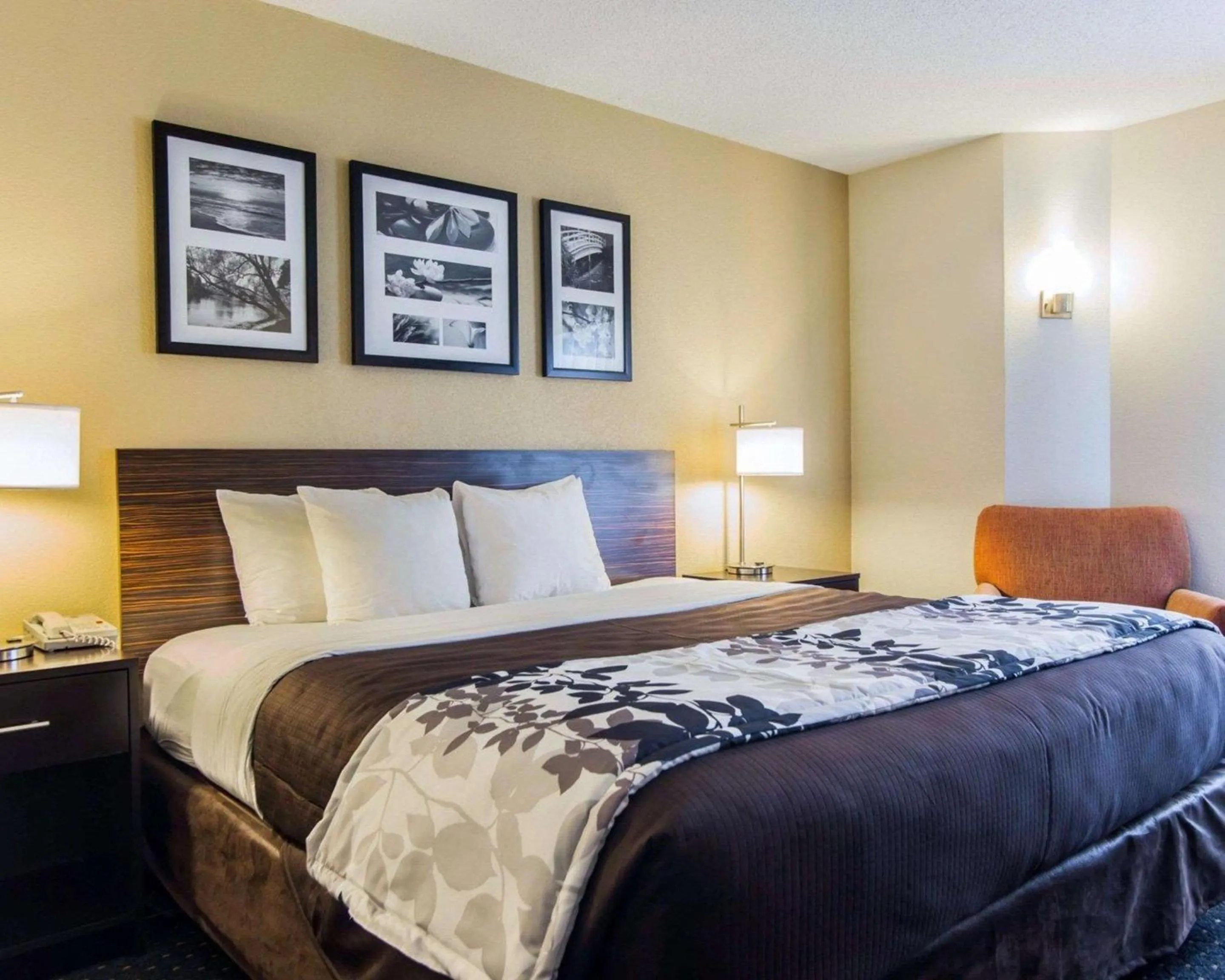 King Room - Non-Smoking in Sleep Inn Florence North