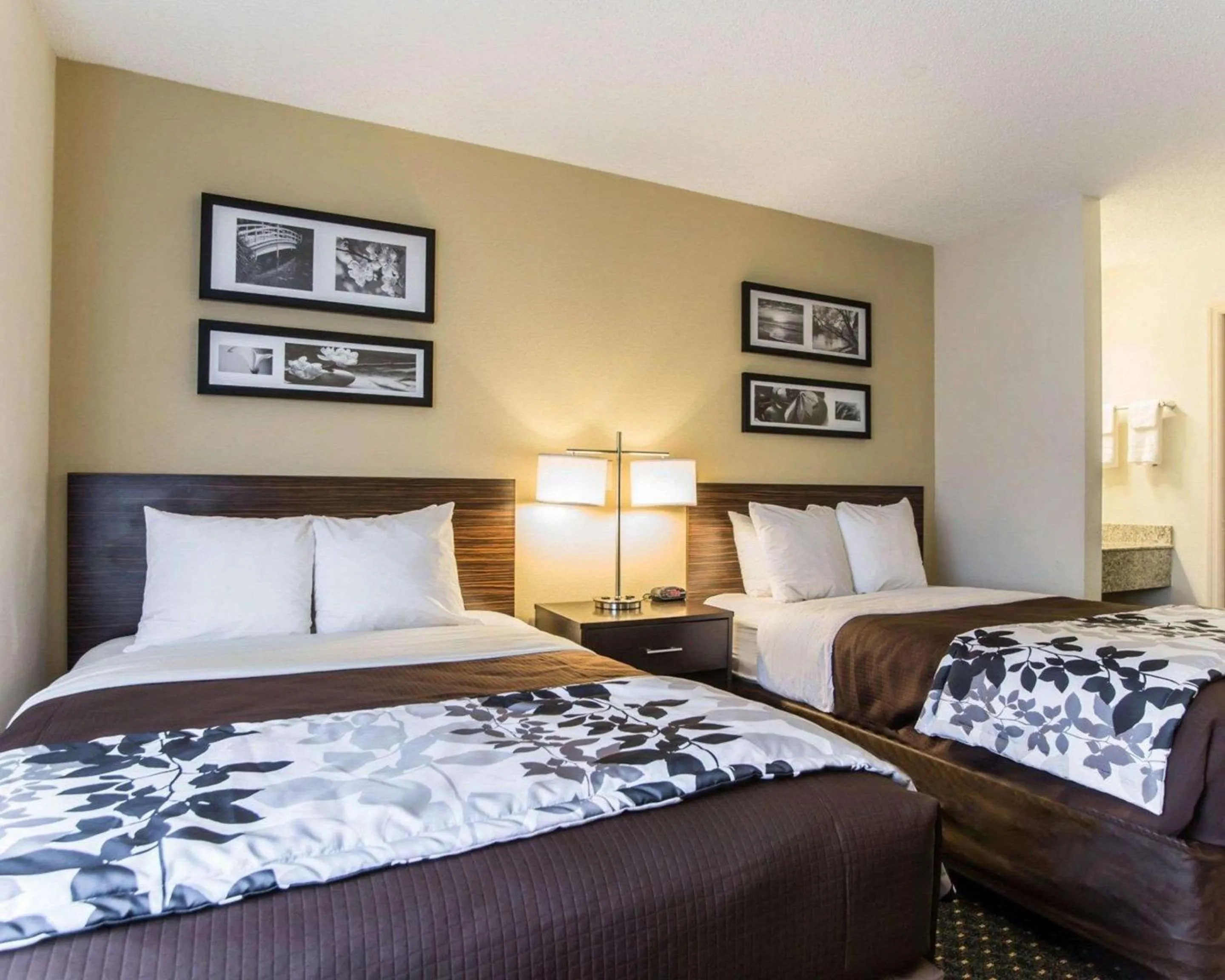 Double Room with Two Double Beds - Non-Smoking in Sleep Inn Florence North