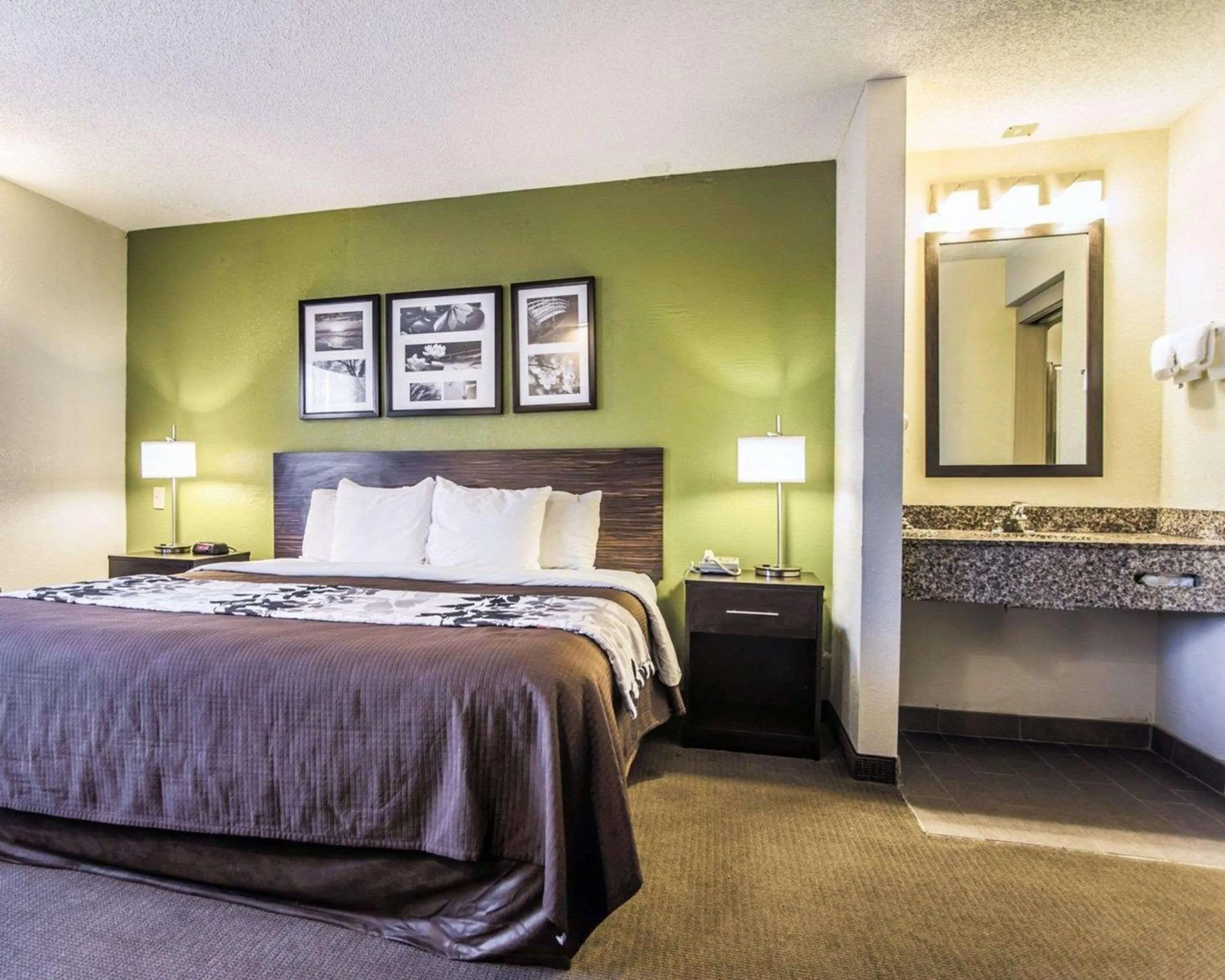 Queen Bed with Roll In Shower - Non-Smoking/Pet Friendly in Sleep Inn Walterboro I-95