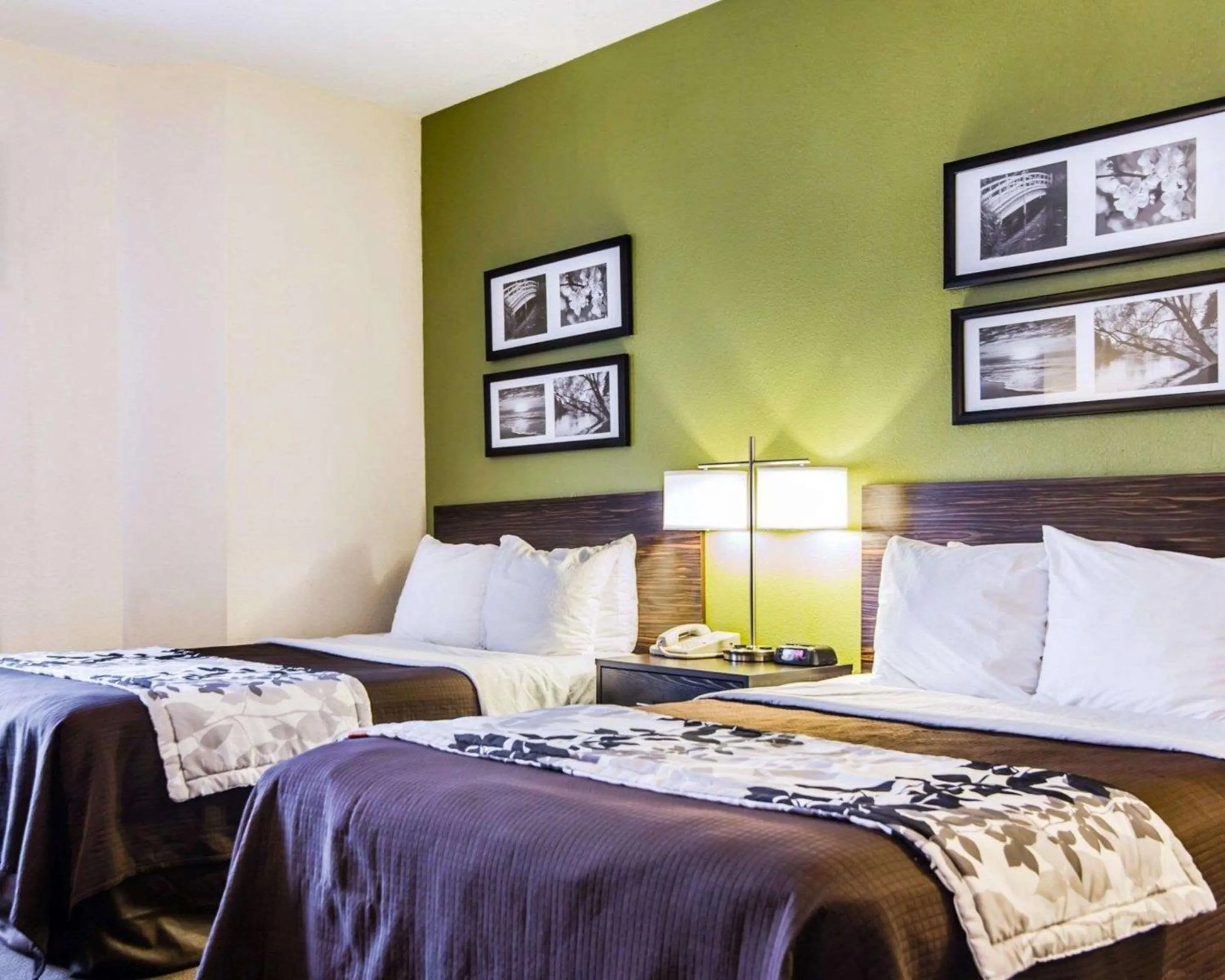 Double Room with Two Double Beds - Pet Friendly in Sleep Inn Walterboro I-95