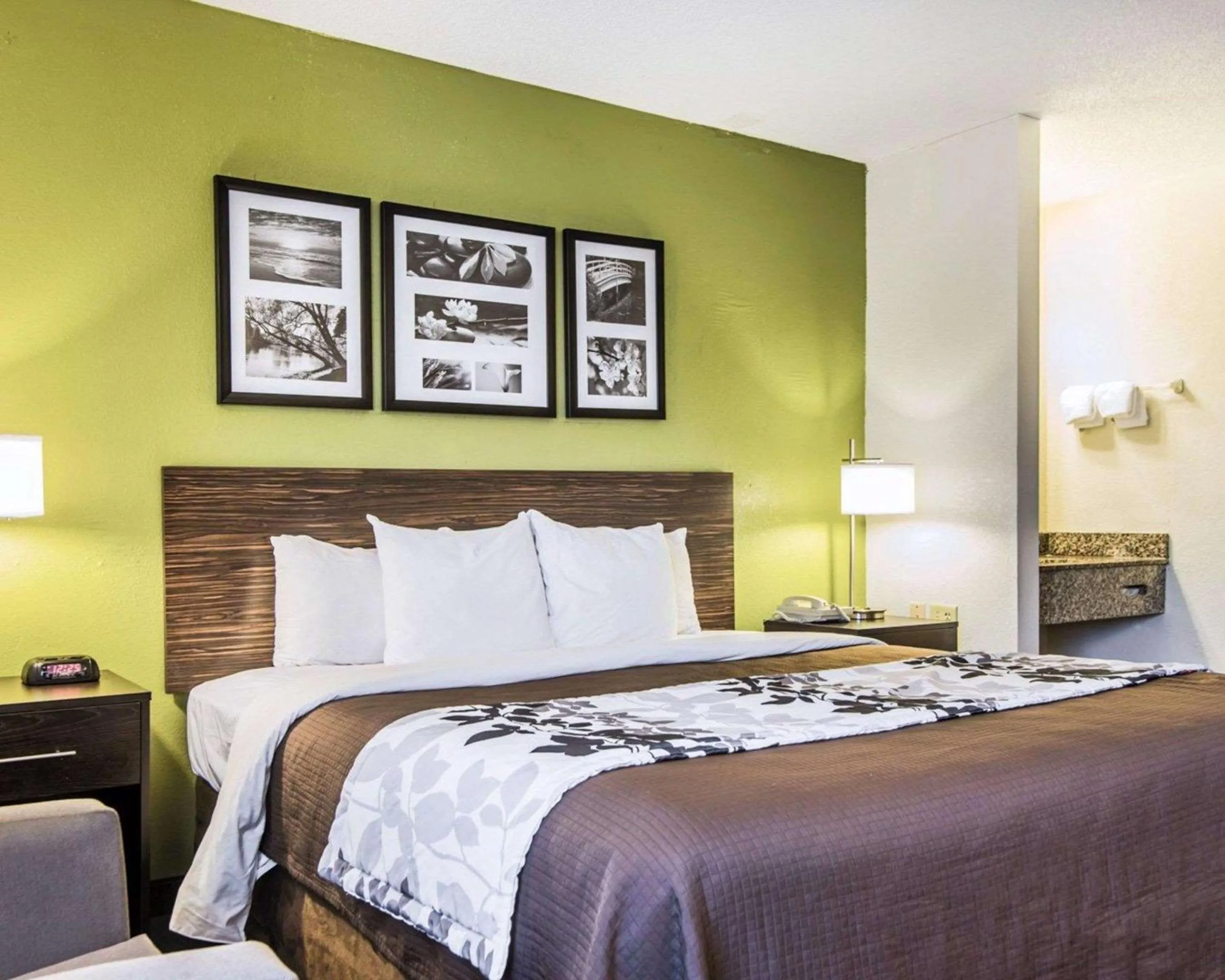 King Room - Non Smoking/Pet Friendly in Sleep Inn Walterboro I-95