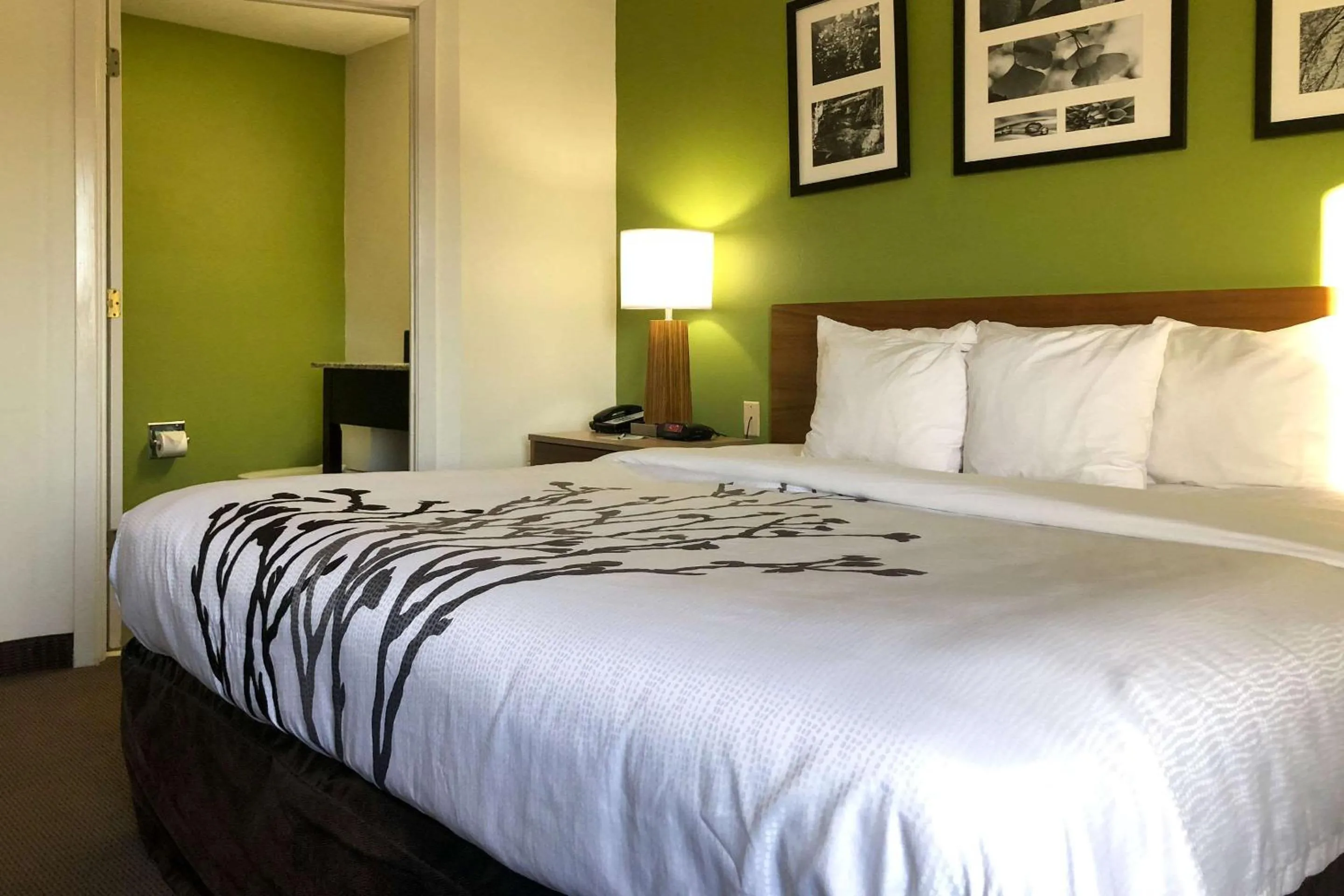 King Room - Non-Smoking in Sleep Inn Hardeeville - I-95
