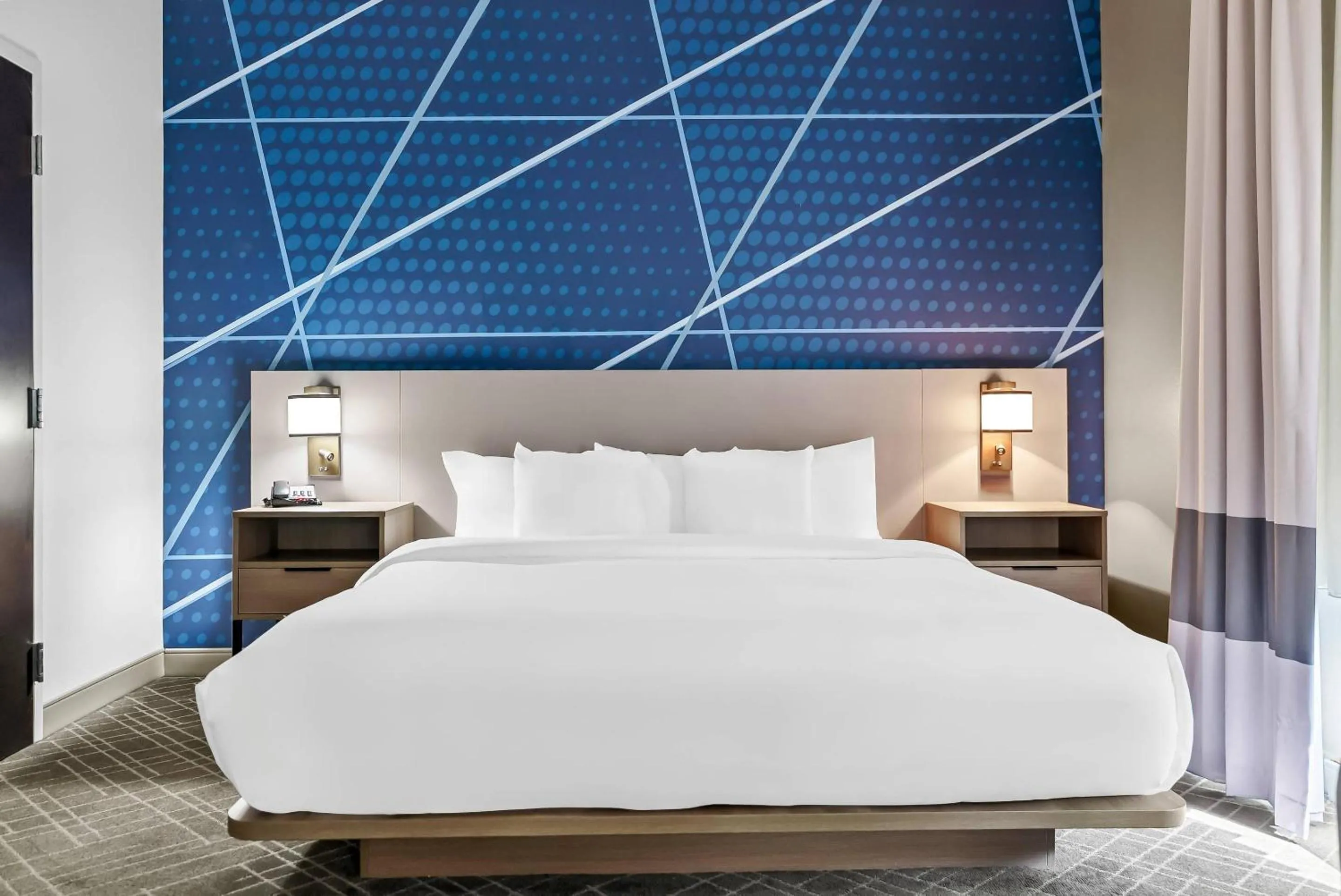 King Suite - Disability Access/Non-Smoking in Comfort Suites Simpsonville - Greenville