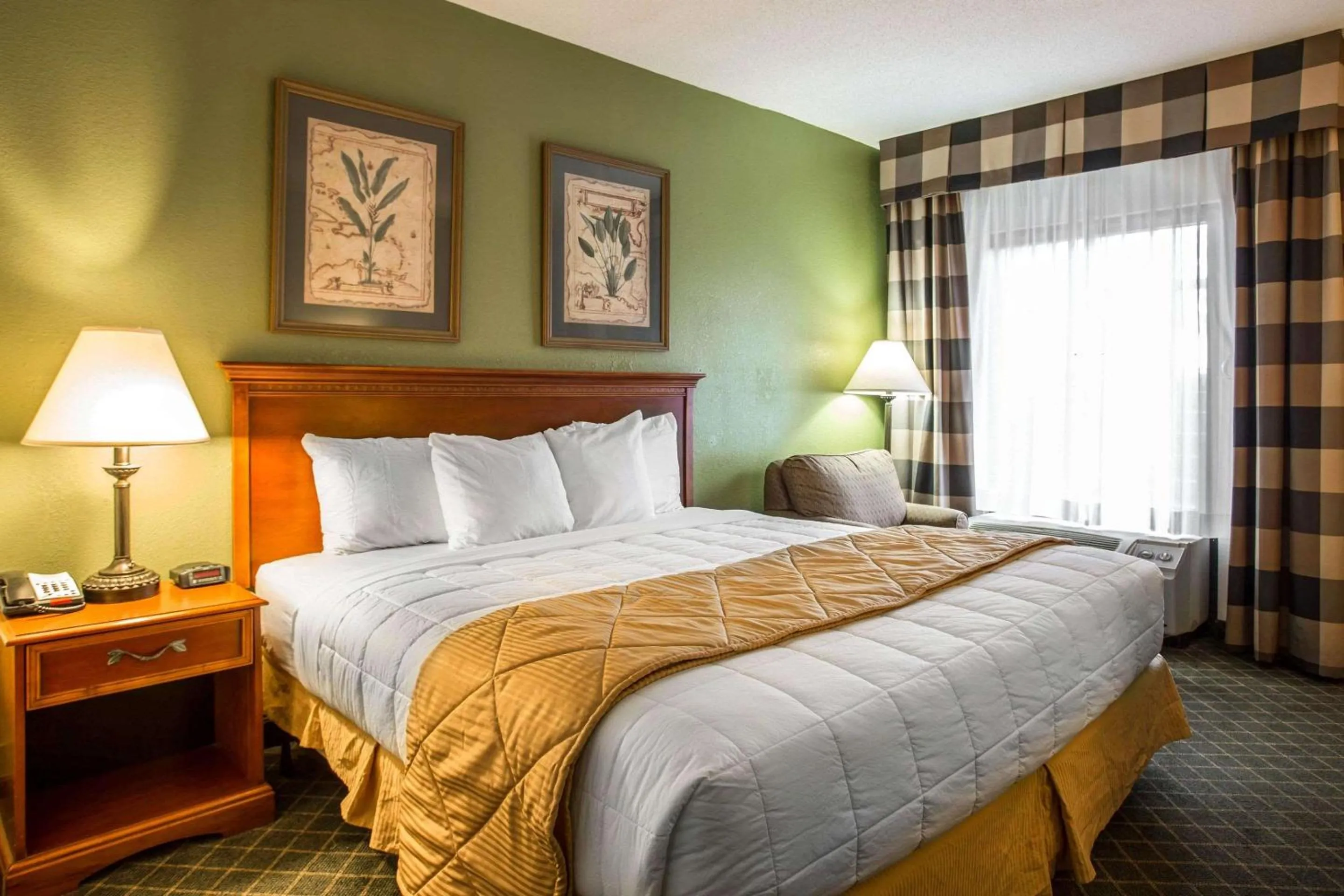 King Room - Accessible/Non-Smoking in Clarion Inn & Suites Aiken South