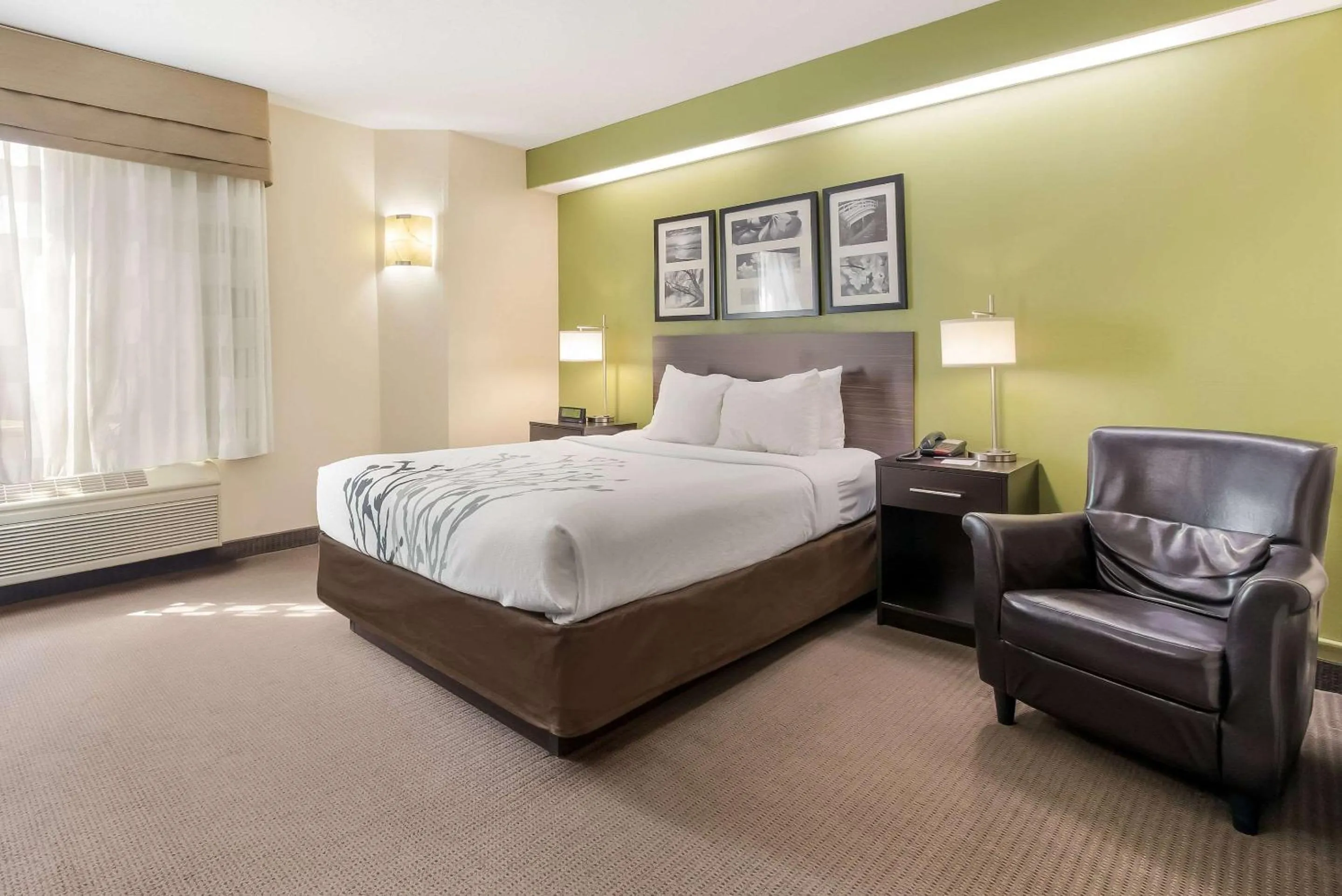 Queen Room - Disability Access/Non-Smoking in Sleep Inn Sioux Falls Airport
