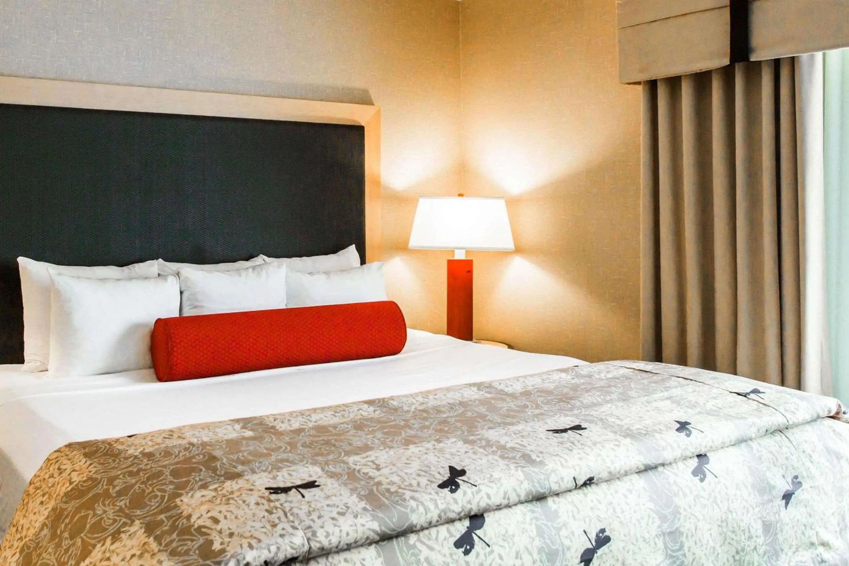 King Suite - Non-Smoking in Cambria Hotel Rapid City near Mount Rushmore