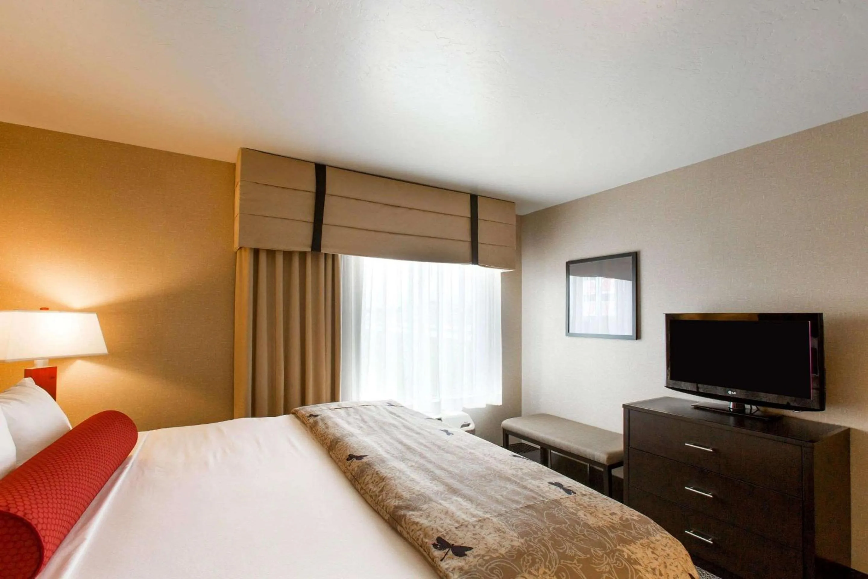 King Suite with Roll-In Shower - Accessible/Non-Smoking in Cambria Hotel Rapid City near Mount Rushmore