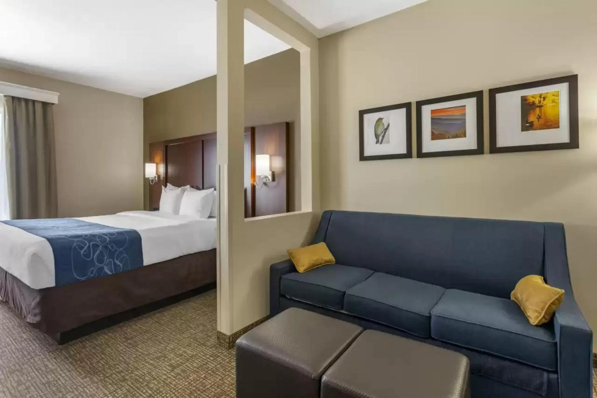 King Suite - Non-Smoking in Comfort Suites At Rivergate Mall