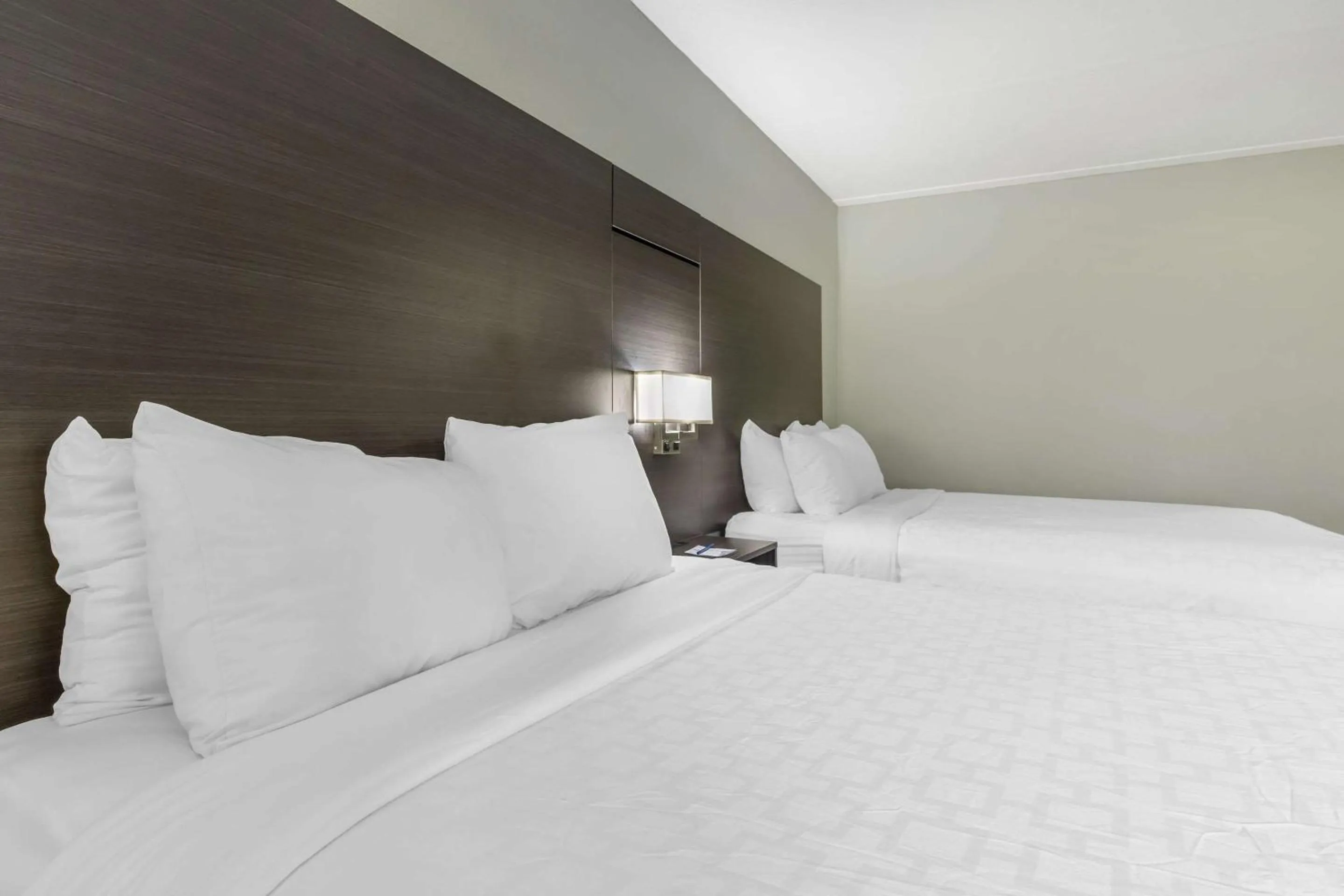 Queen Room with Two Queen Beds - Non-Smoking in Clarion Inn near Lookout Mountain