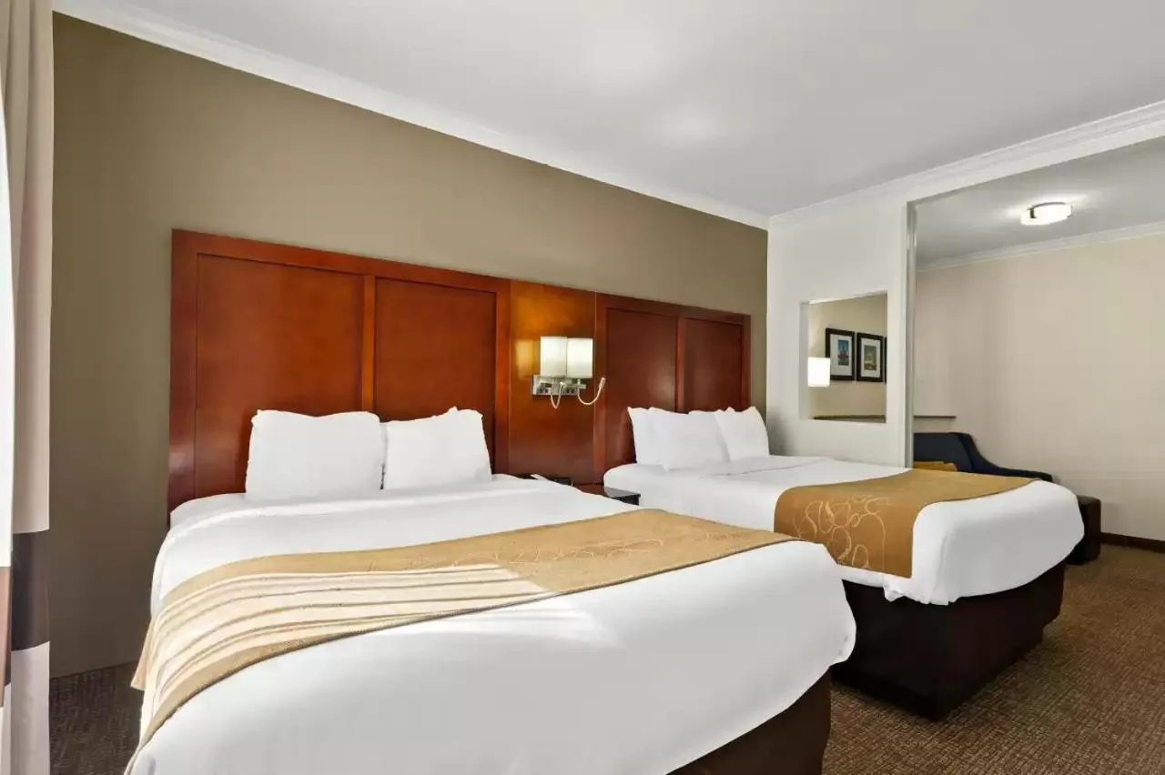 Suite with Two Queen Beds - Accessible/Non-Smoking in Comfort Suites Corpus Christi Central