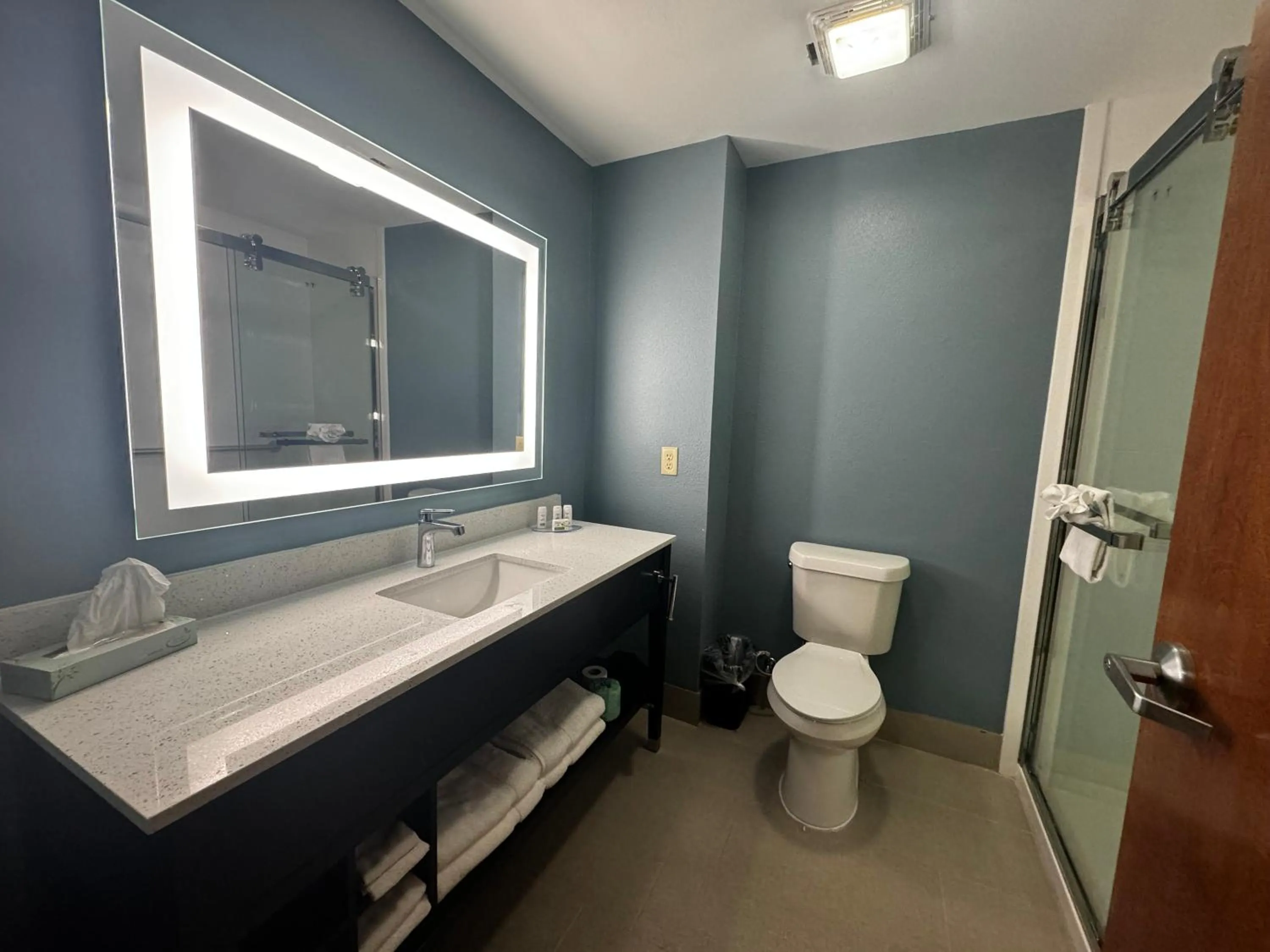 King  Suite with Roll-In Shower and Kitchenette - Non-Smoking/Mobility Accessible in Wingate by Wyndham College Station South