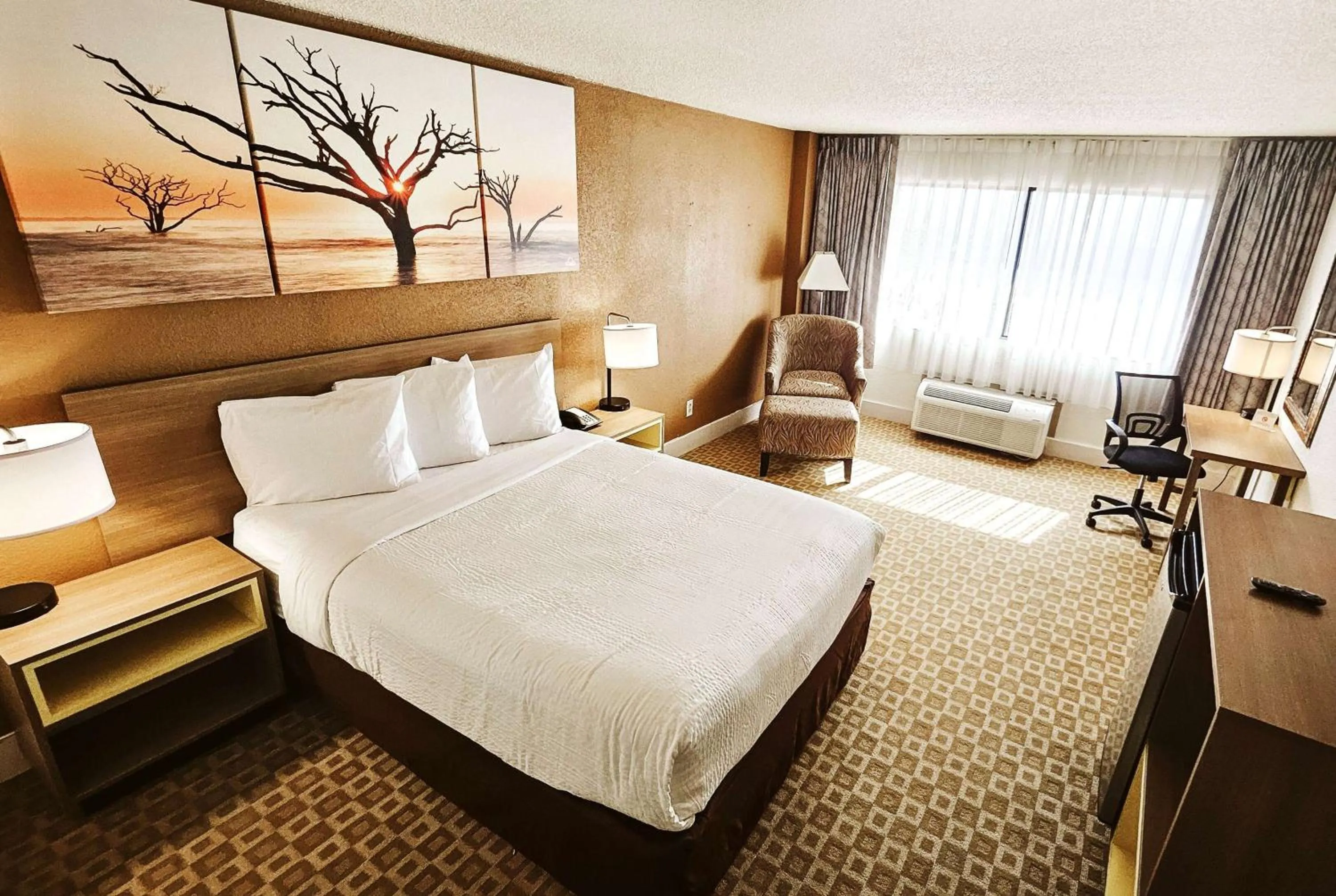 Deluxe King Room - Non-Smoking in Days Inn by Wyndham Sherman