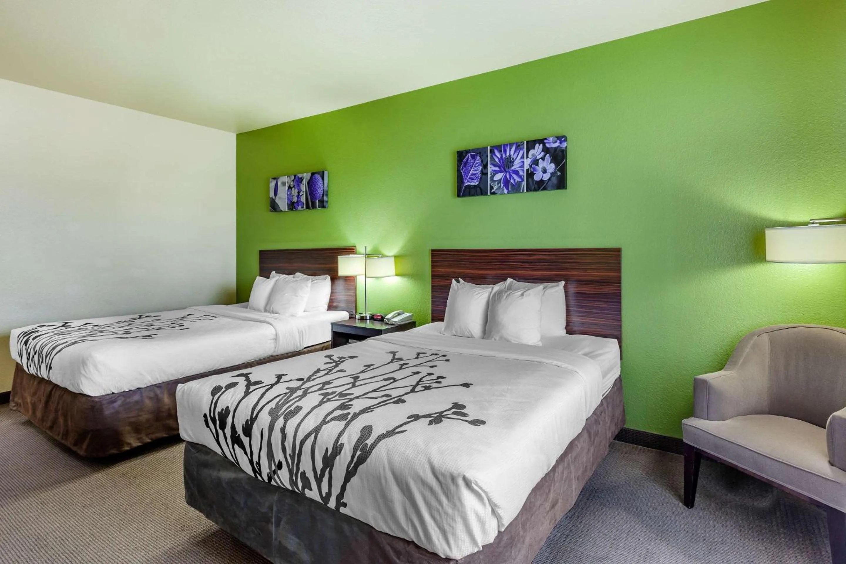 Queen Room with Two Queen Beds - Non-Smoking in Sleep Inn & Suites Hewitt - South Waco