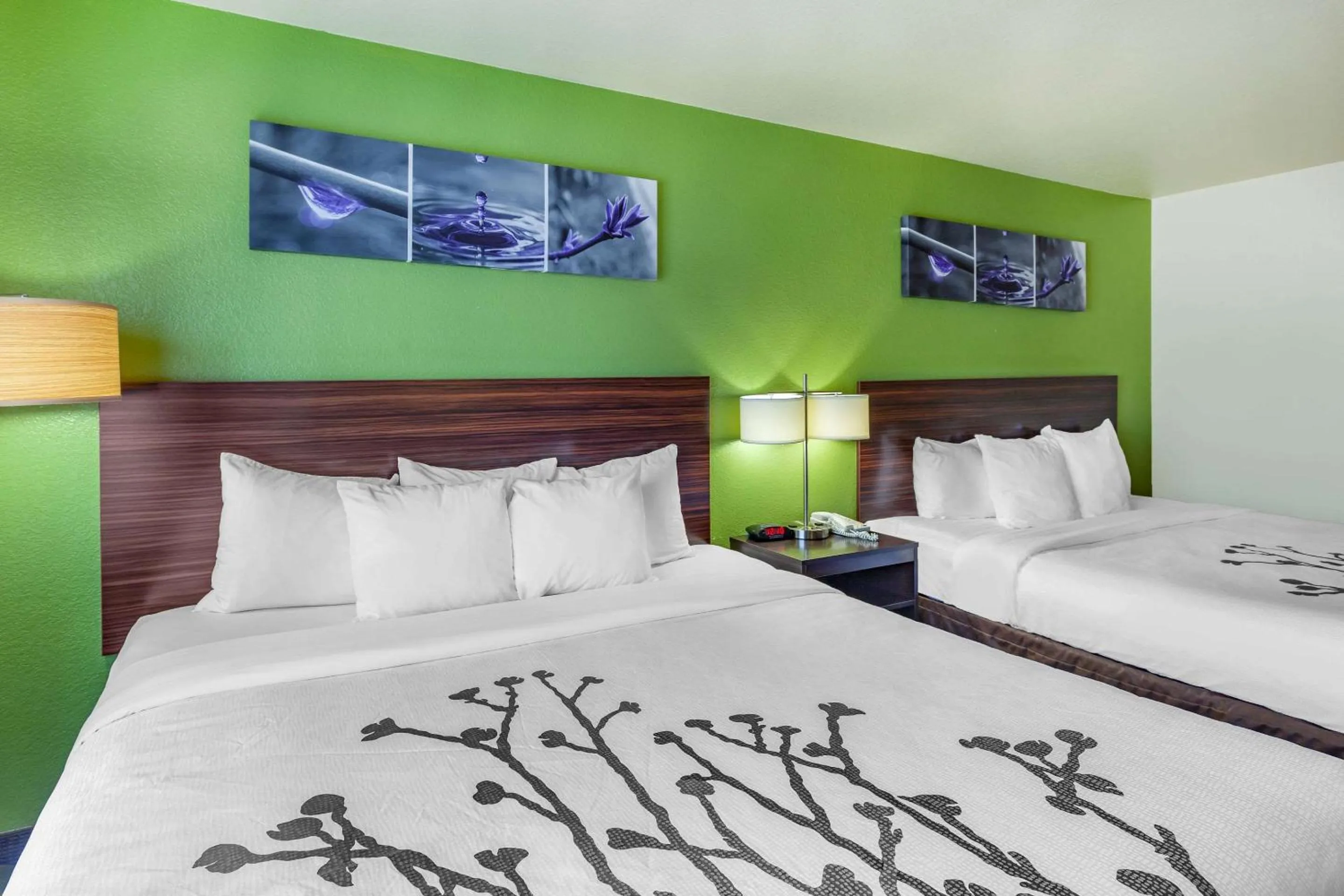 Standard Room with Two King Beds in Sleep Inn & Suites Hewitt - South Waco