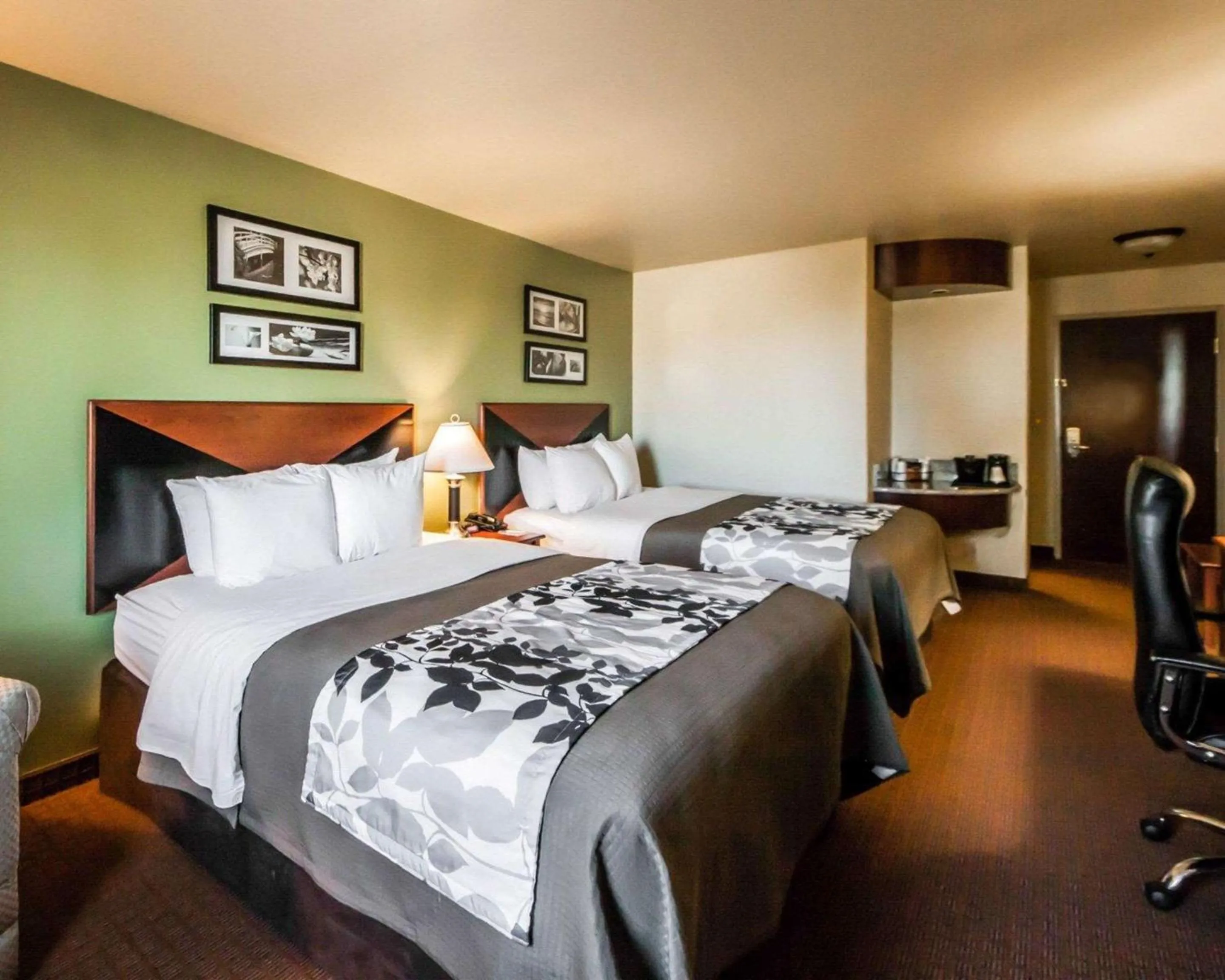 Queen Room with Two Queen Beds - Accessible/Non-Smoking  in Sleep Inn & Suites Shamrock