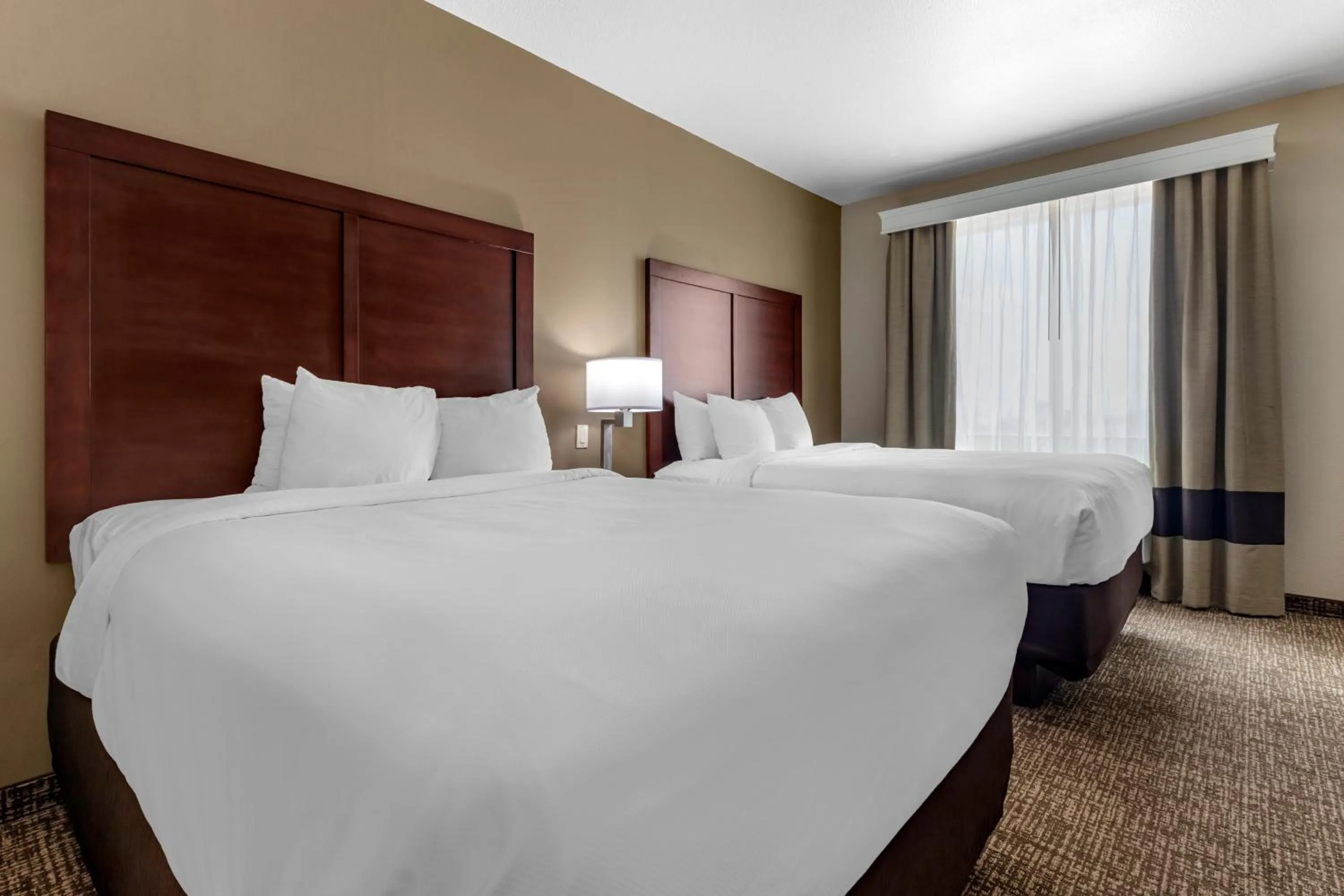 Queen Suite with Two Queen Beds - Non-Smoking in Comfort Suites Plano - Dallas North