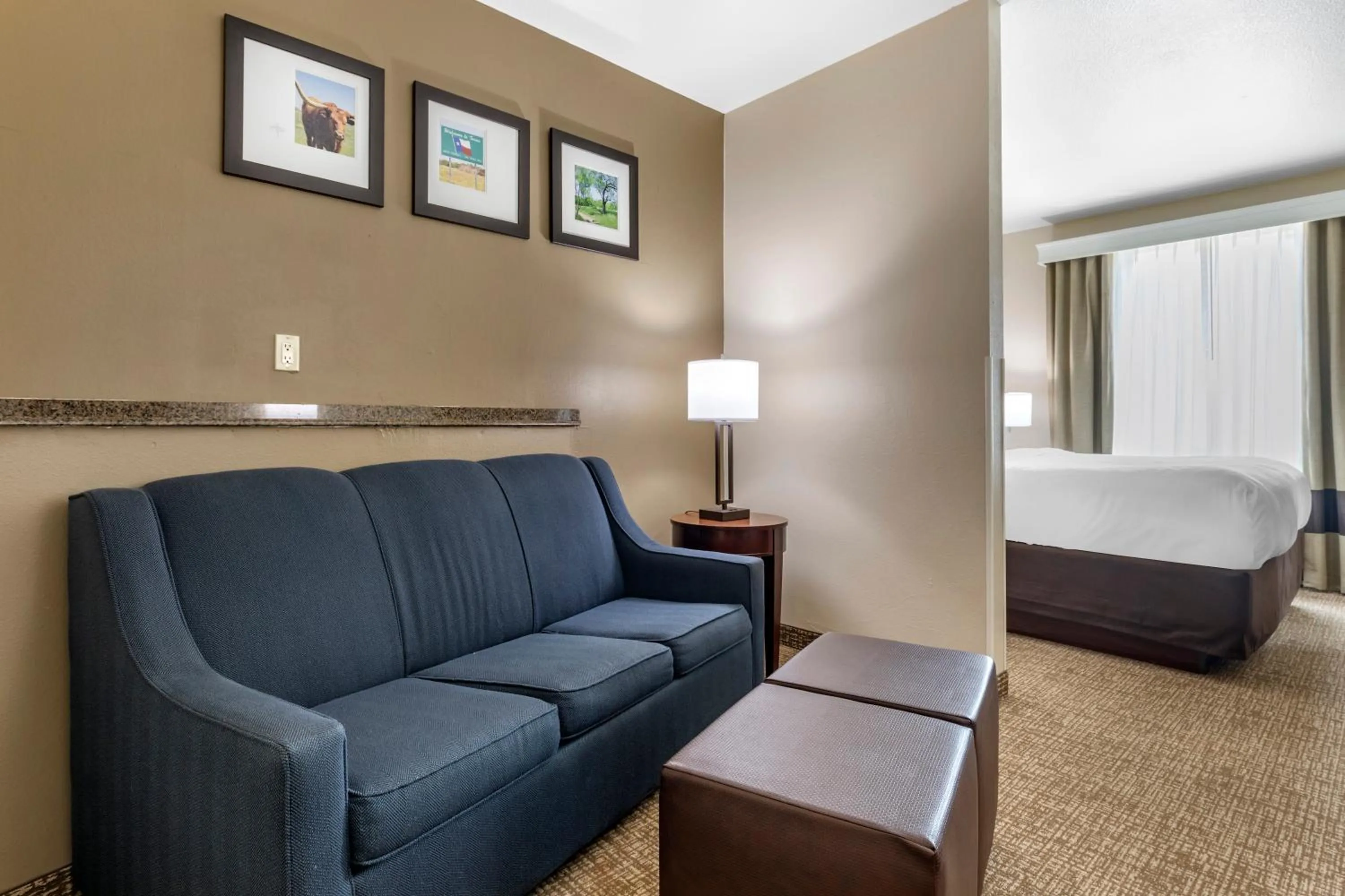 King Suite with Sofa Bed - Non-Smoking in Comfort Suites Plano - Dallas North