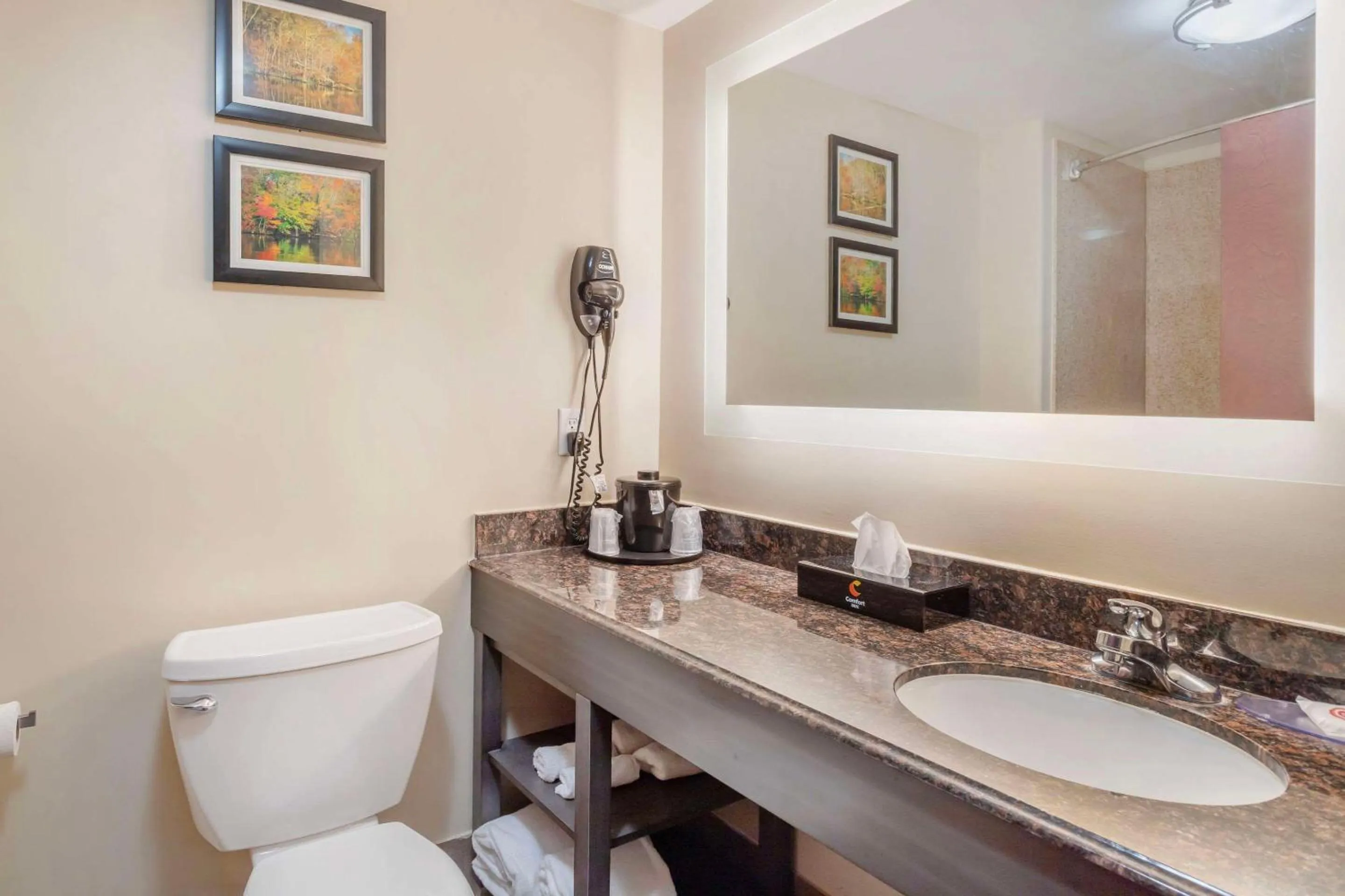 Executive King Suite - Non-Smoking in Comfort Inn by Choice Hotels Orange, TX