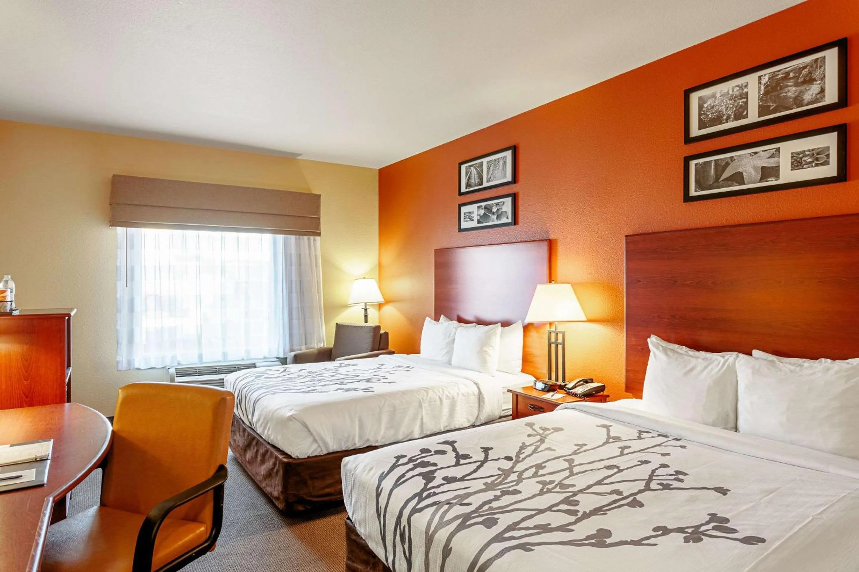 Queen Room with Two Queen Beds - Non-Smoking in Sleep Inn & Suites Tyler South