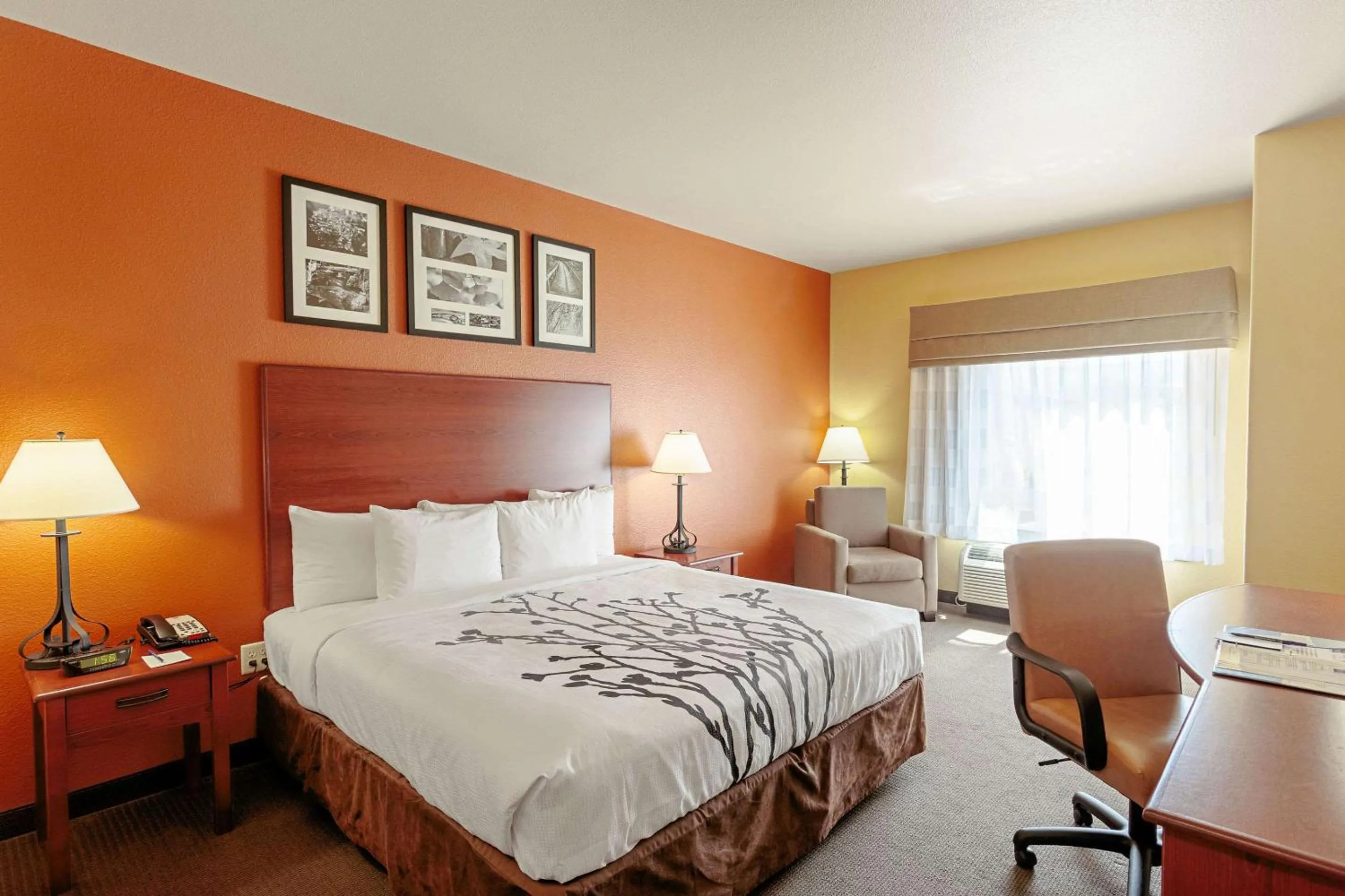 King Room - Non-Smoking in Sleep Inn & Suites Tyler South