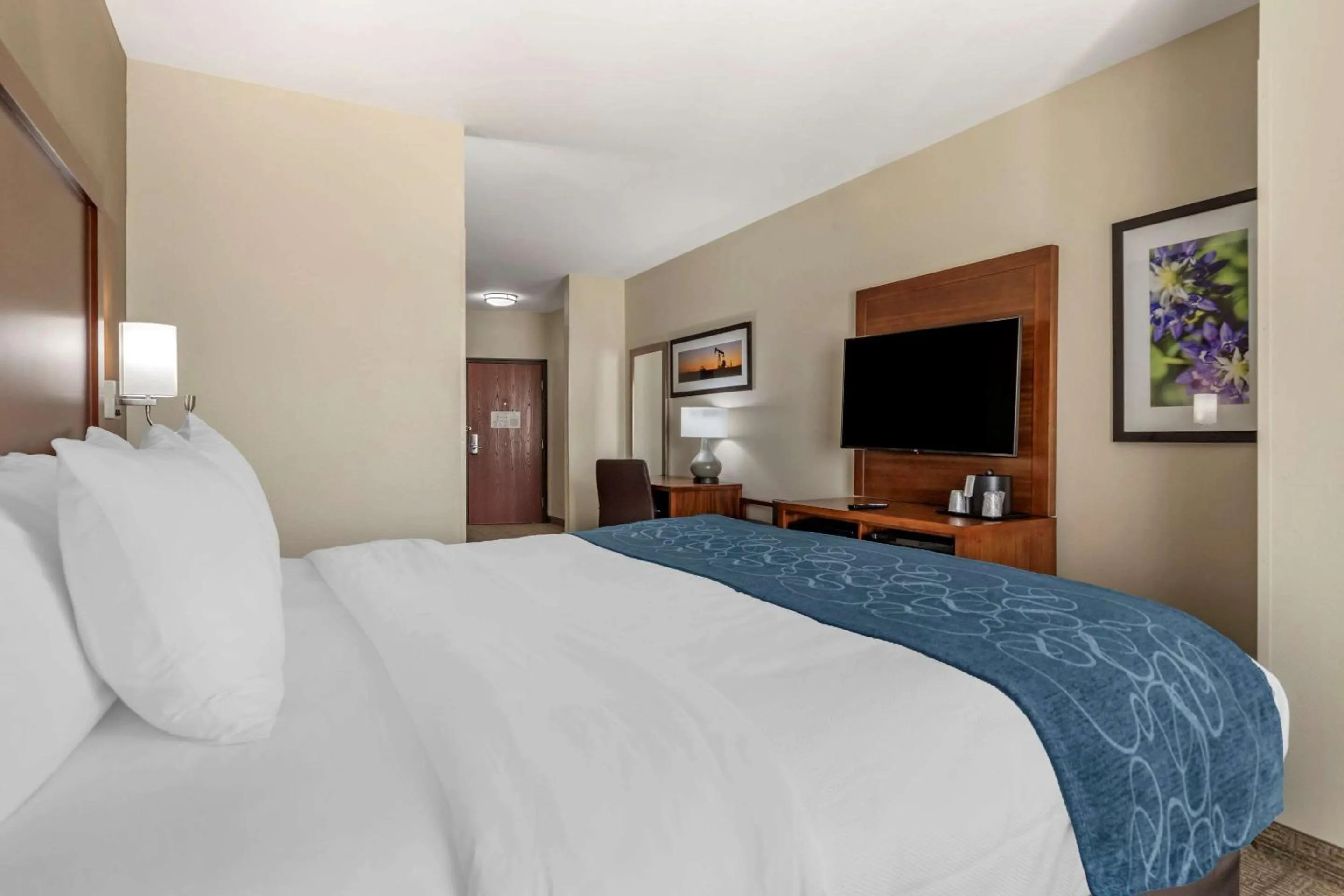 Efficiency King Suite - Accessible/Non-Smoking in Comfort Suites Buda - Austin South