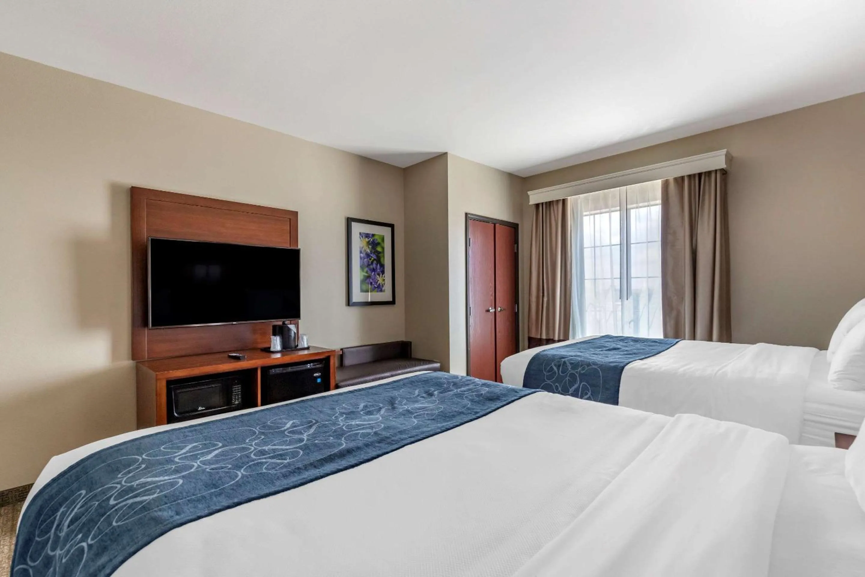 Queen Suite with Two Queen Beds - Non-Smoking in Comfort Suites Buda - Austin South