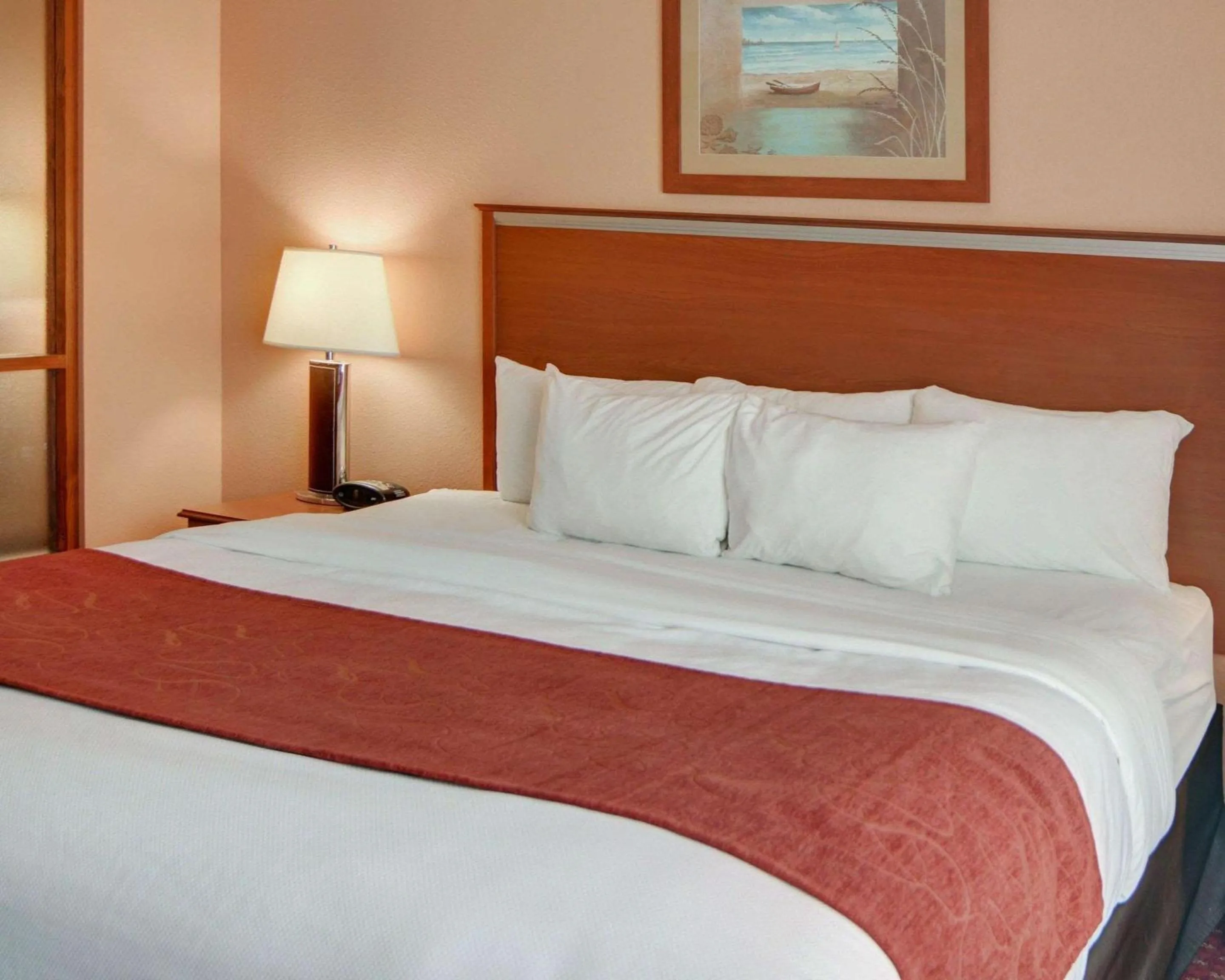 King Suite - Accessible/Non-Smoking in Quality Suites Near Cedar Creek Lake