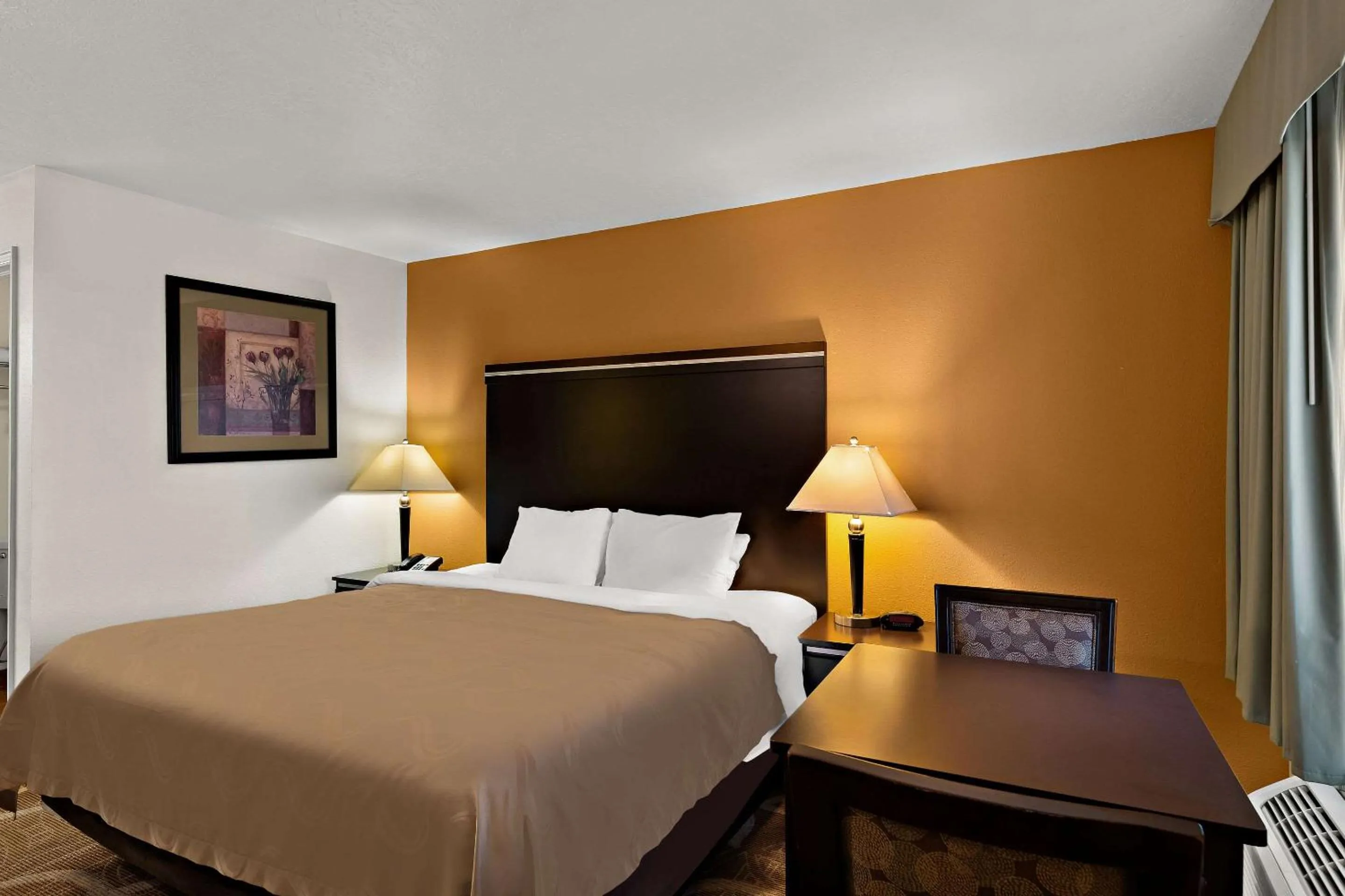 King Room - Non-Smoking in Quality Inn Saint George South Bluff